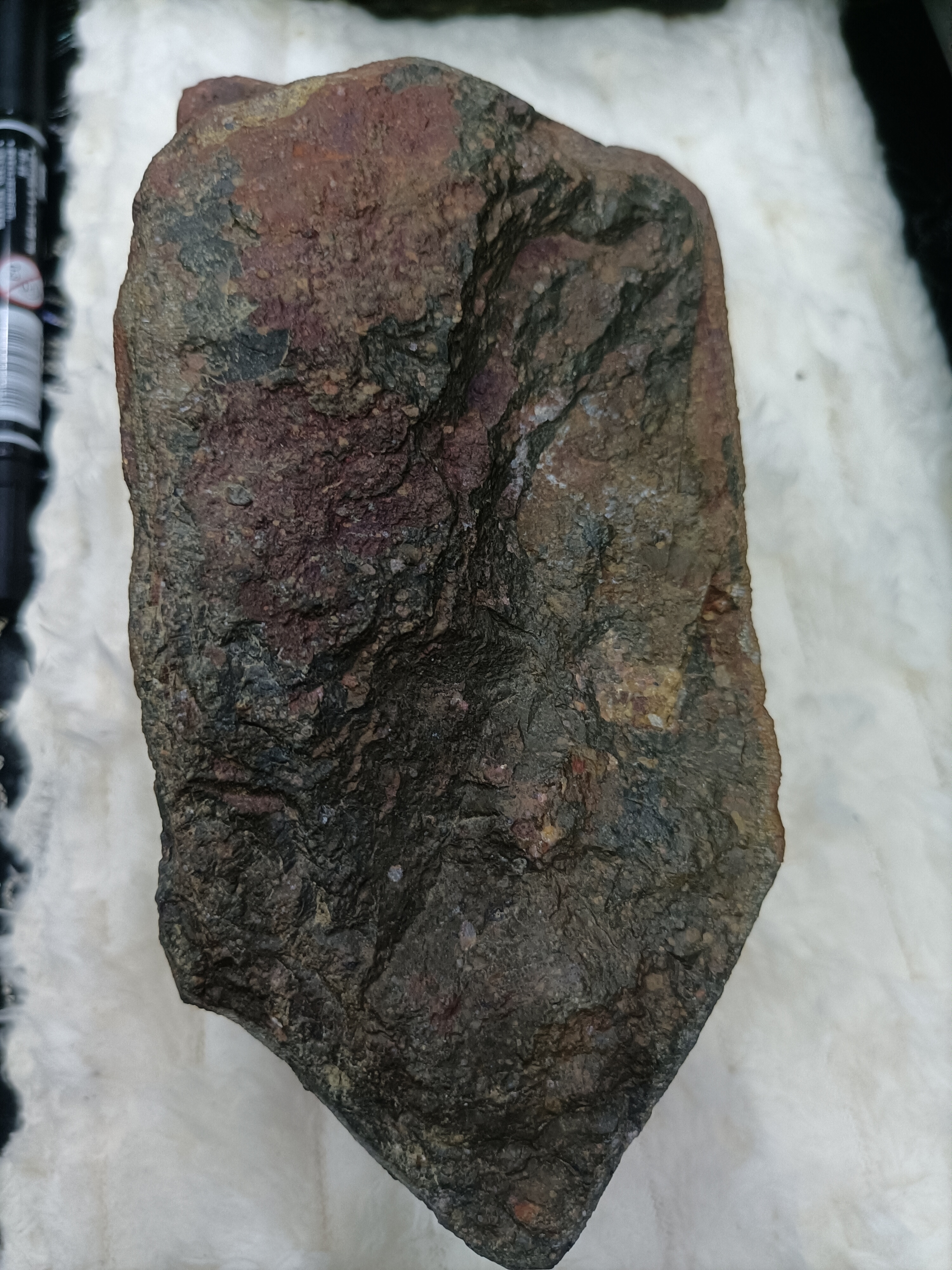 泰安大汶河发现#陨石# 红色碳质球粒陨石ck5,有喜欢收藏陨石的留言!