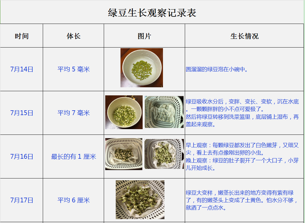 绿豆发芽七天观察表图片