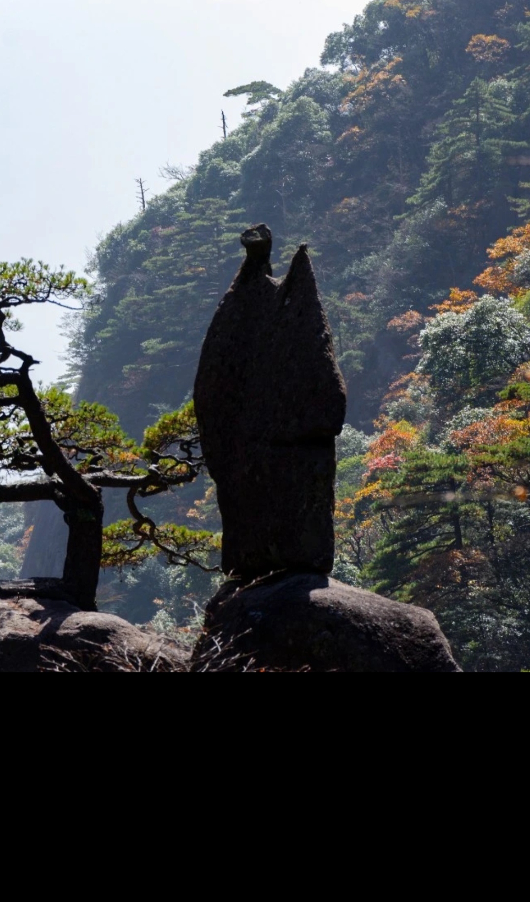 黄山集八亿年地质史于一身,融峰林地貌,冰川遗迹于一体,兼有花岗岩