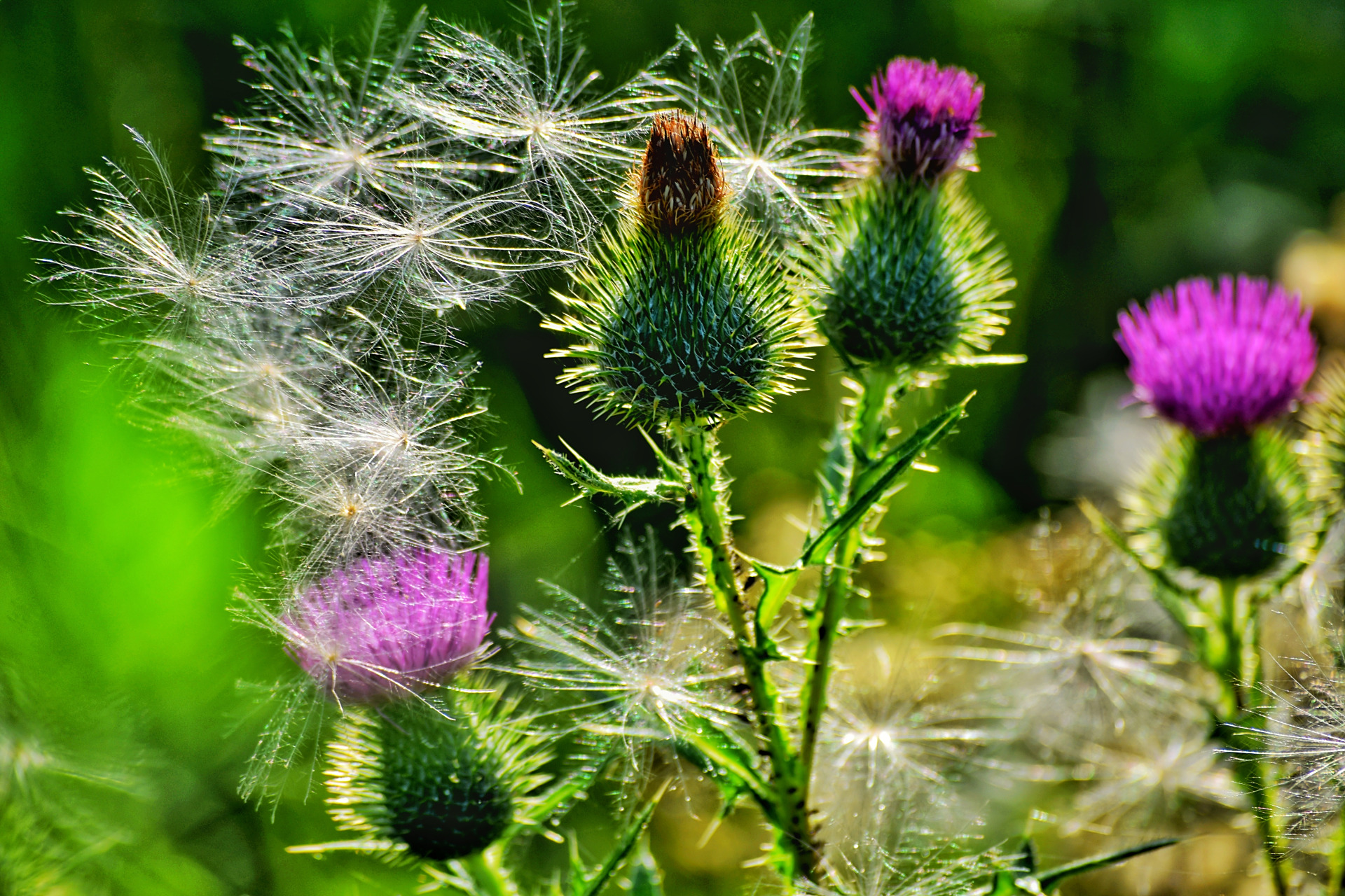 该作品又被创意视觉中国収入库中.