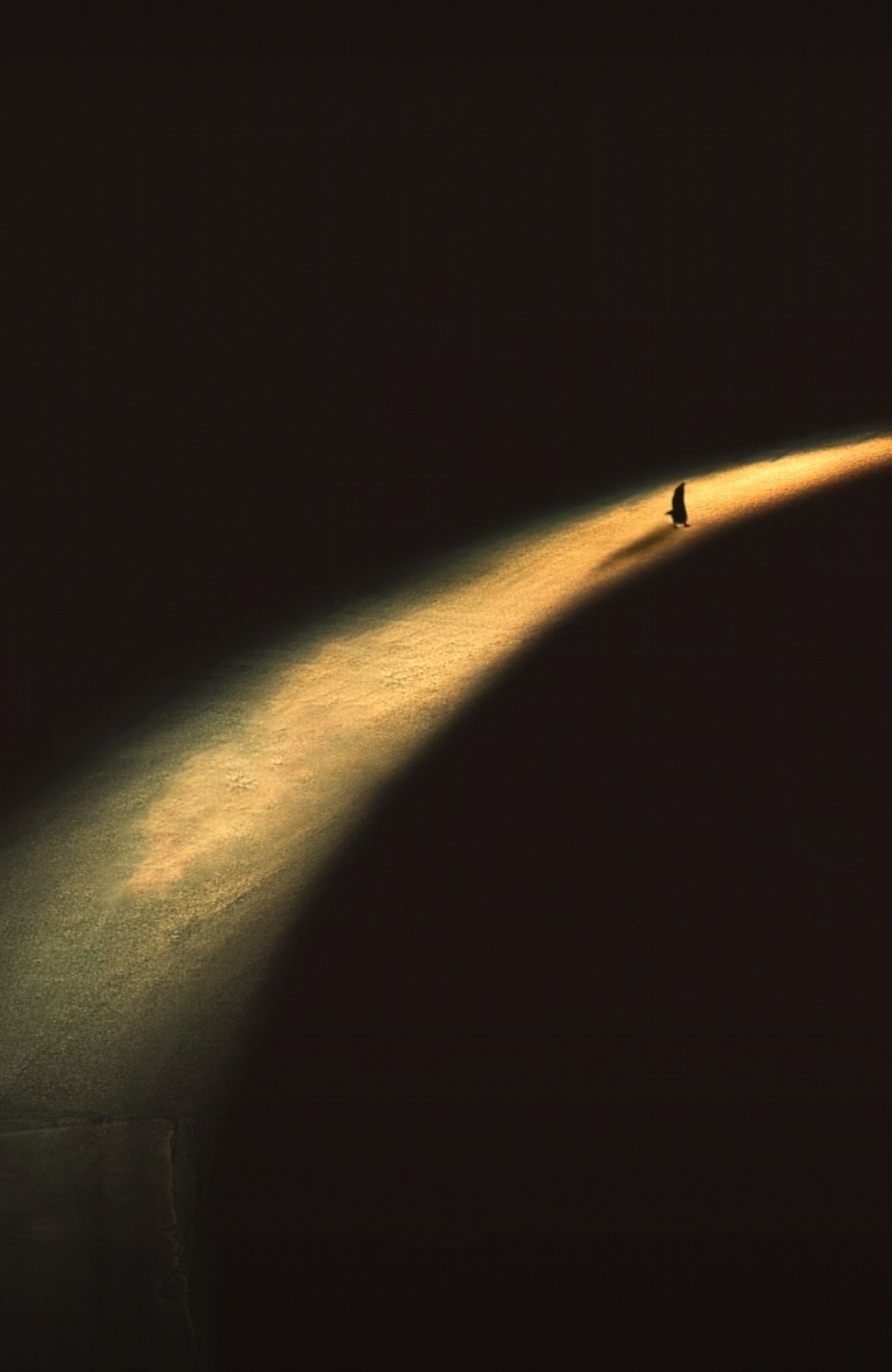 一文带你看懂精神与物质的区别黑夜有光明的图片溉松褪遣欢系男扌 