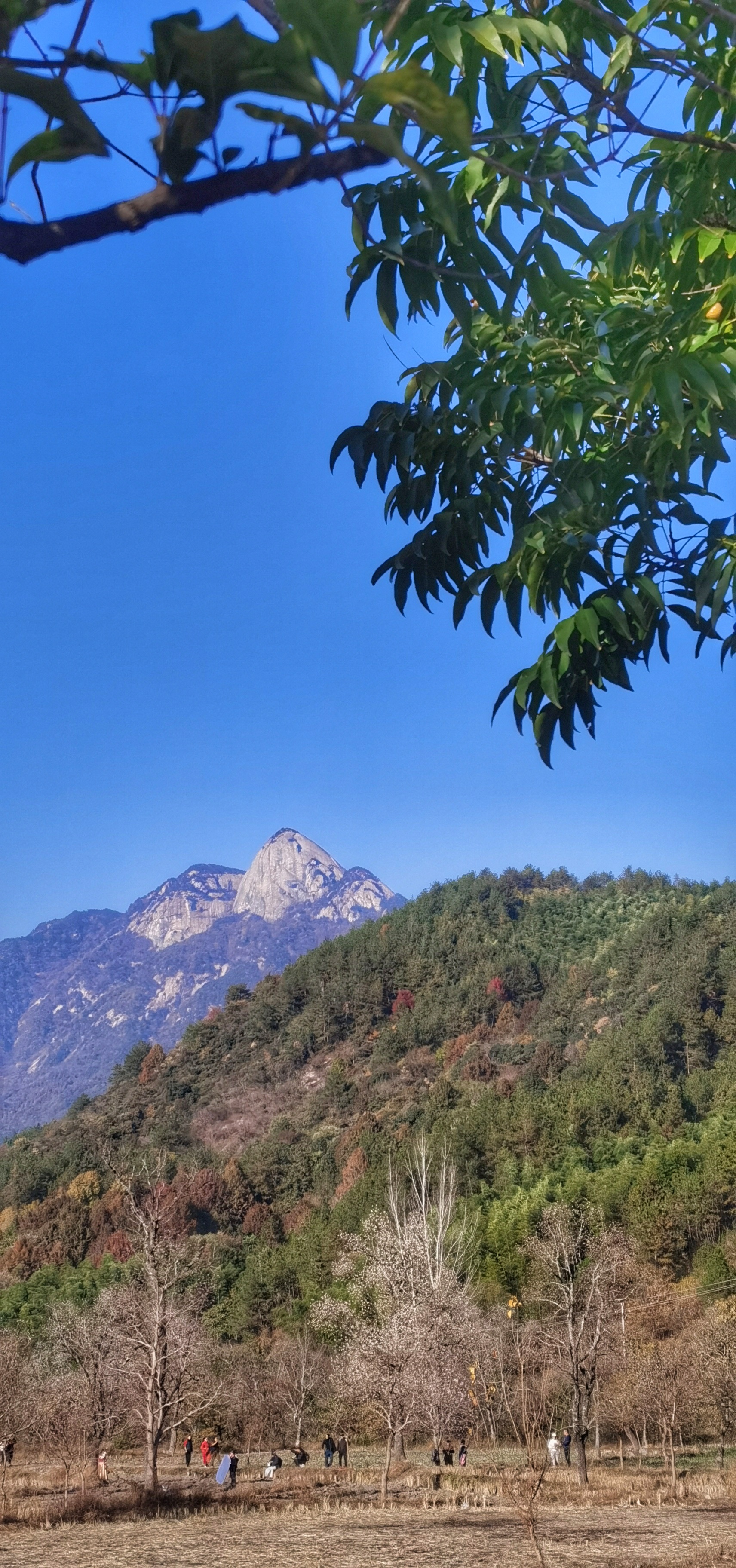 南武当位于大别山南麓,湖北省英山县境内,为江淮分水岭,南北分界线