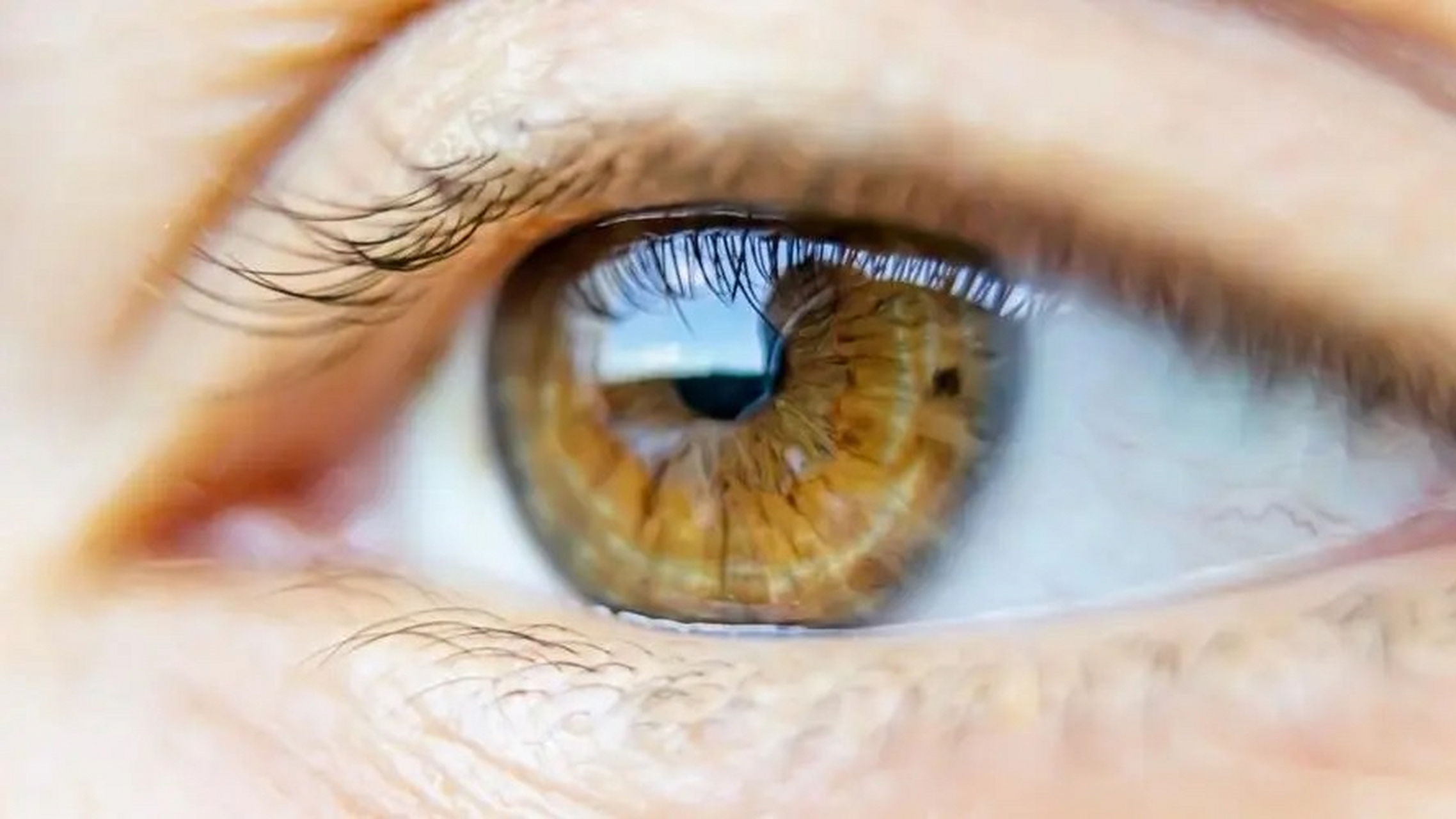 7岁女孩有弟弟后眼睛突然看不清  小园,一个可爱的7岁女孩,突然间开始