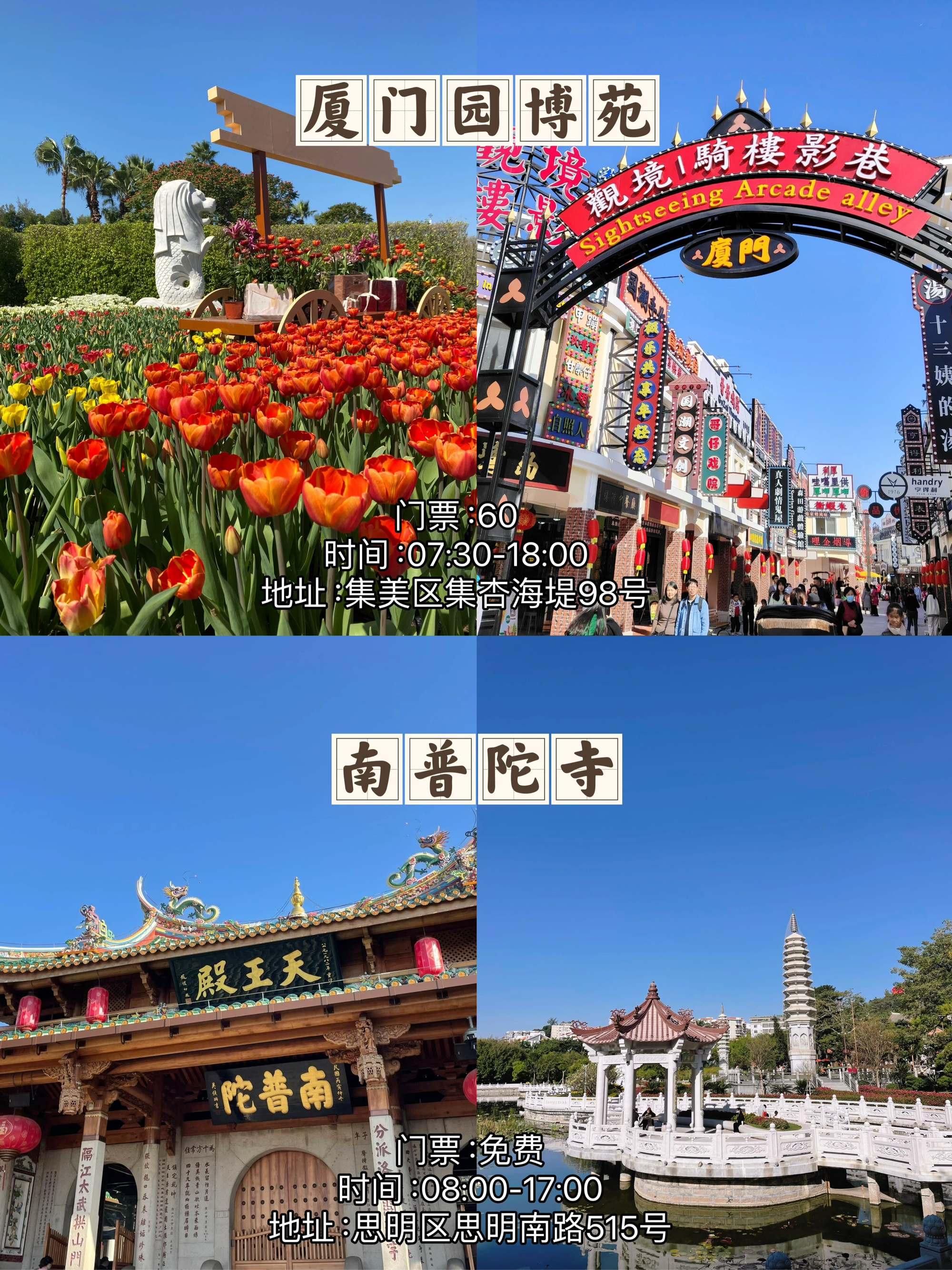 2021春节厦门旅游图片