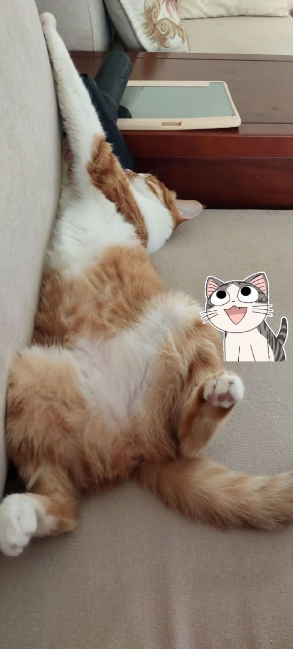 开启幺鸡的睡觉模式