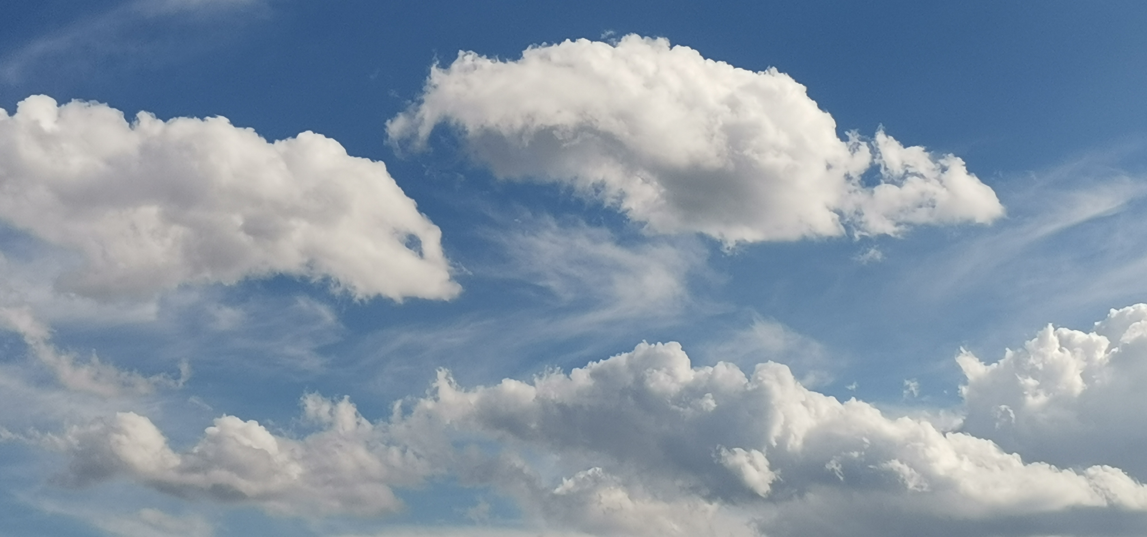 云之舞  在春日午后,我坐在草地上,仰望那无尽的天空.