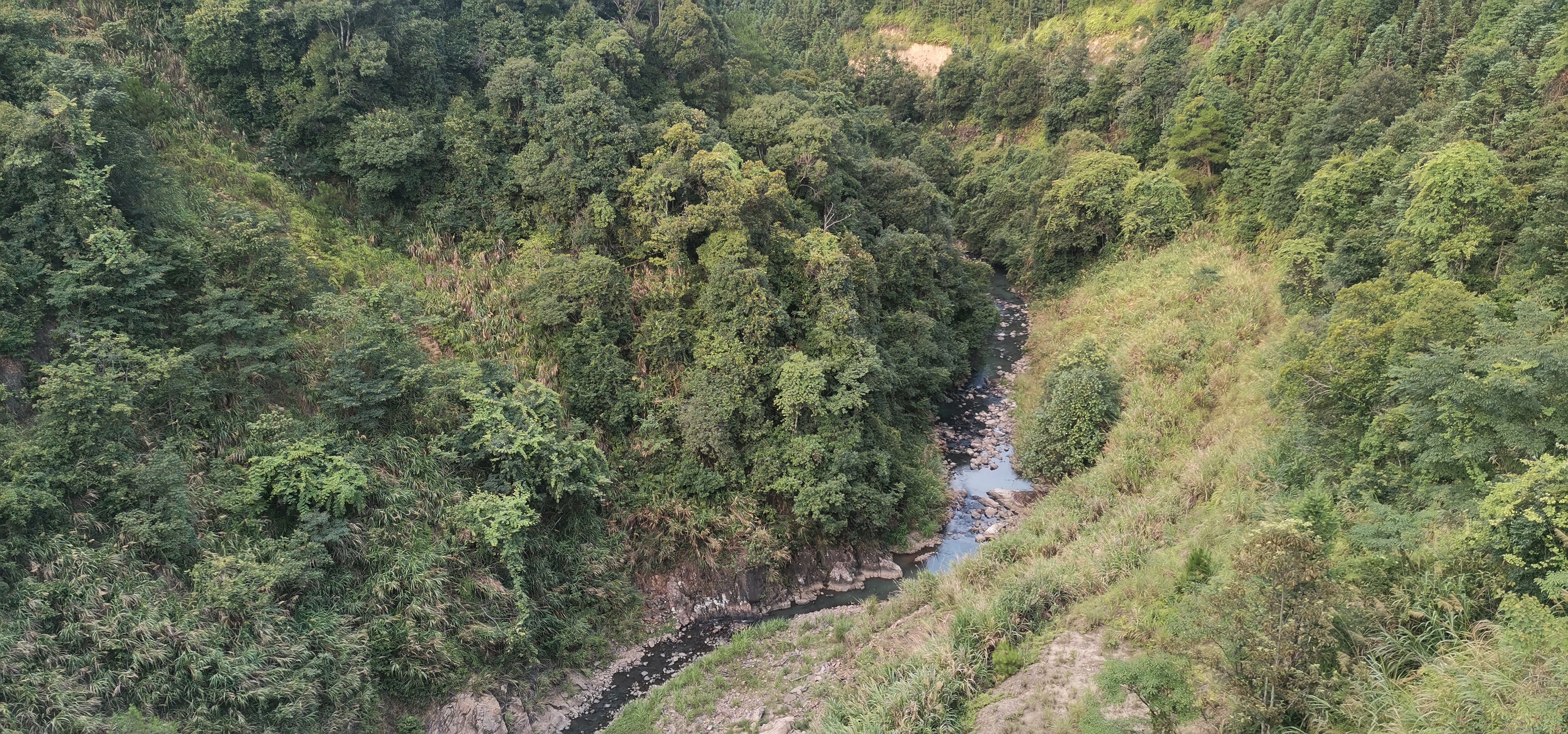 静谧山林图片