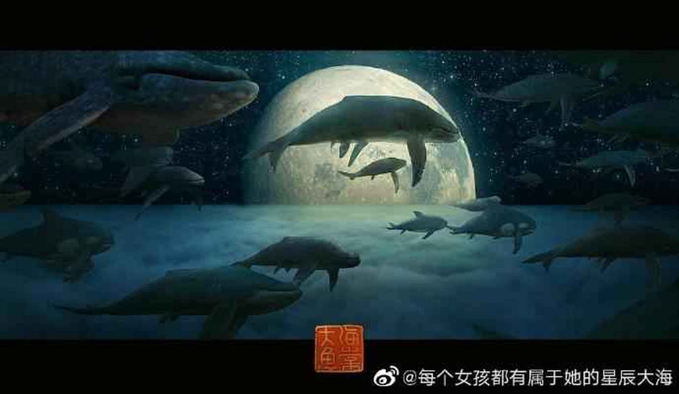 小鱼海棠照片壁纸图片