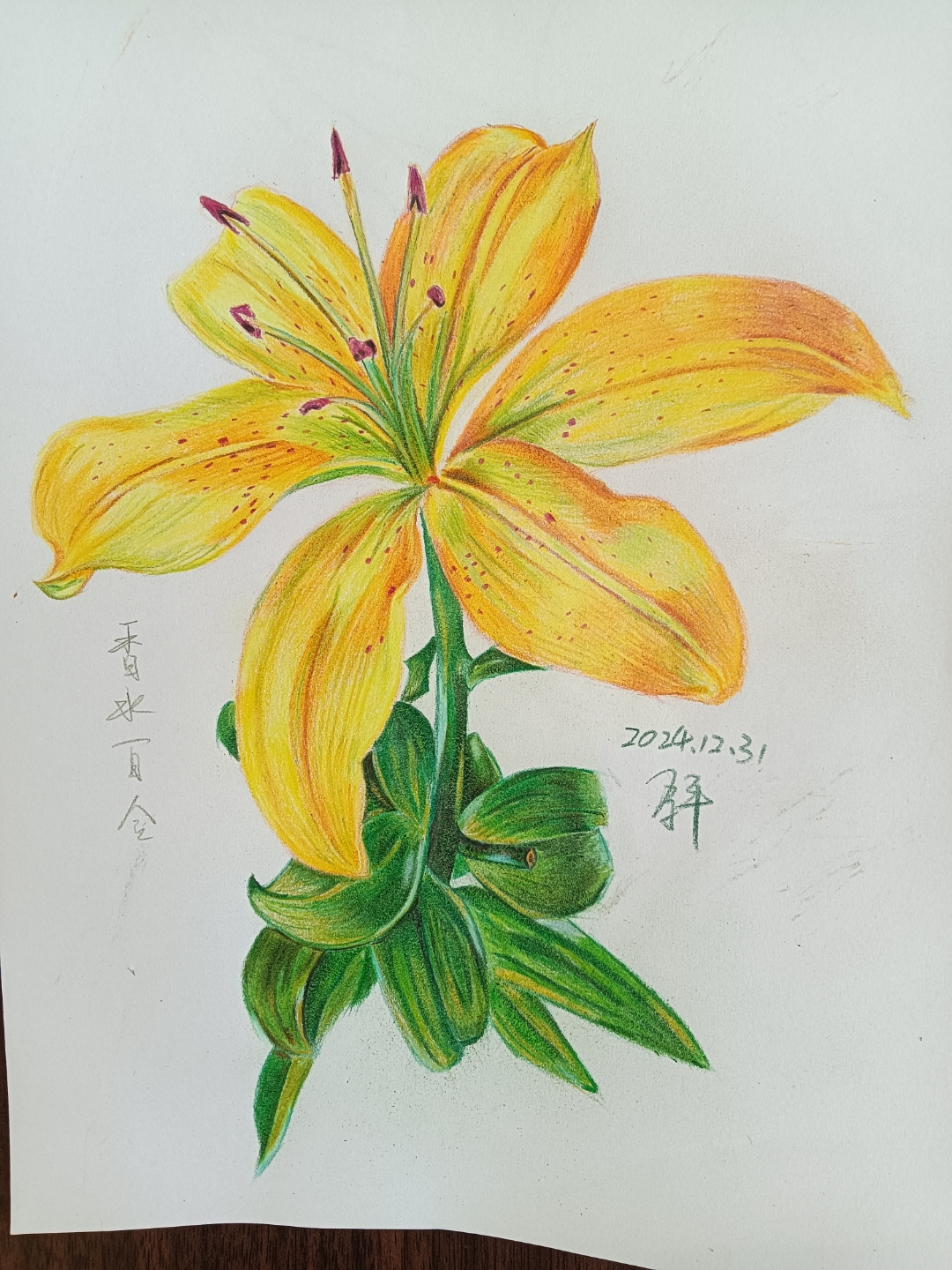 要我老命的彩铅香水百合终于画完了.附一张八个月前铅笔香水百合