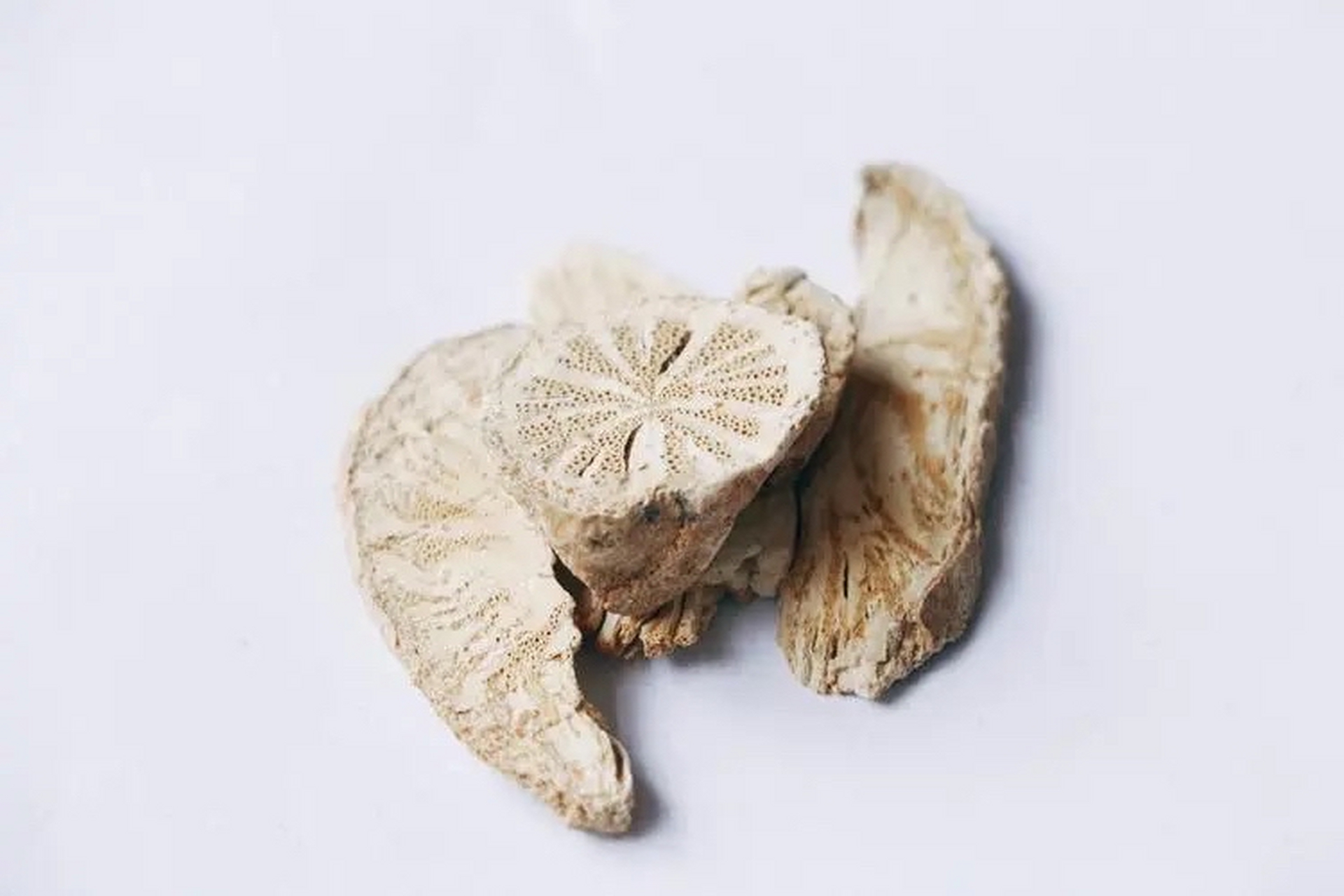 科多年生木质藤本植物粉防己或马兜铃科多年生缠绕草本植物广防己的根