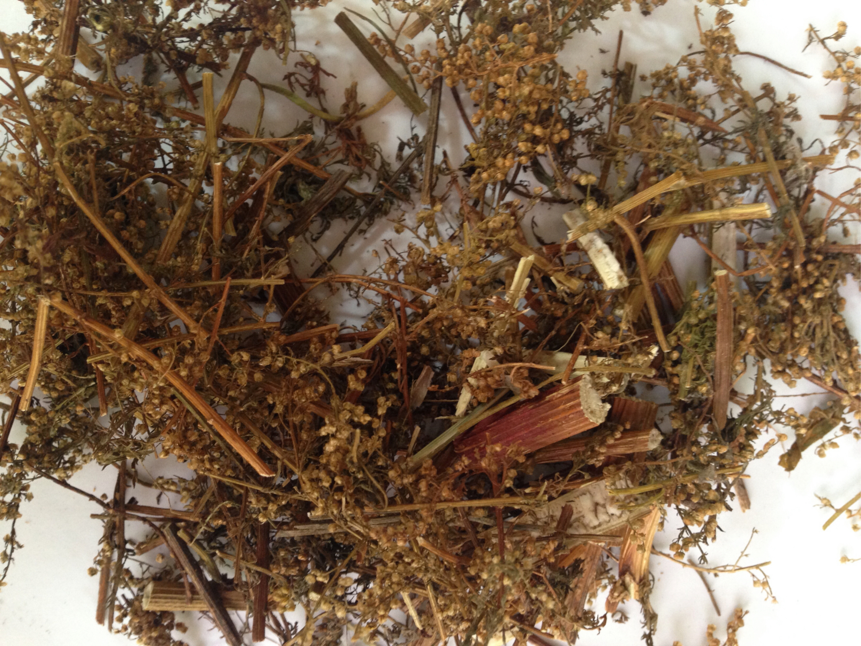 青蒿:为菊科一年生草本植物青蒿和黄花蒿的全草.