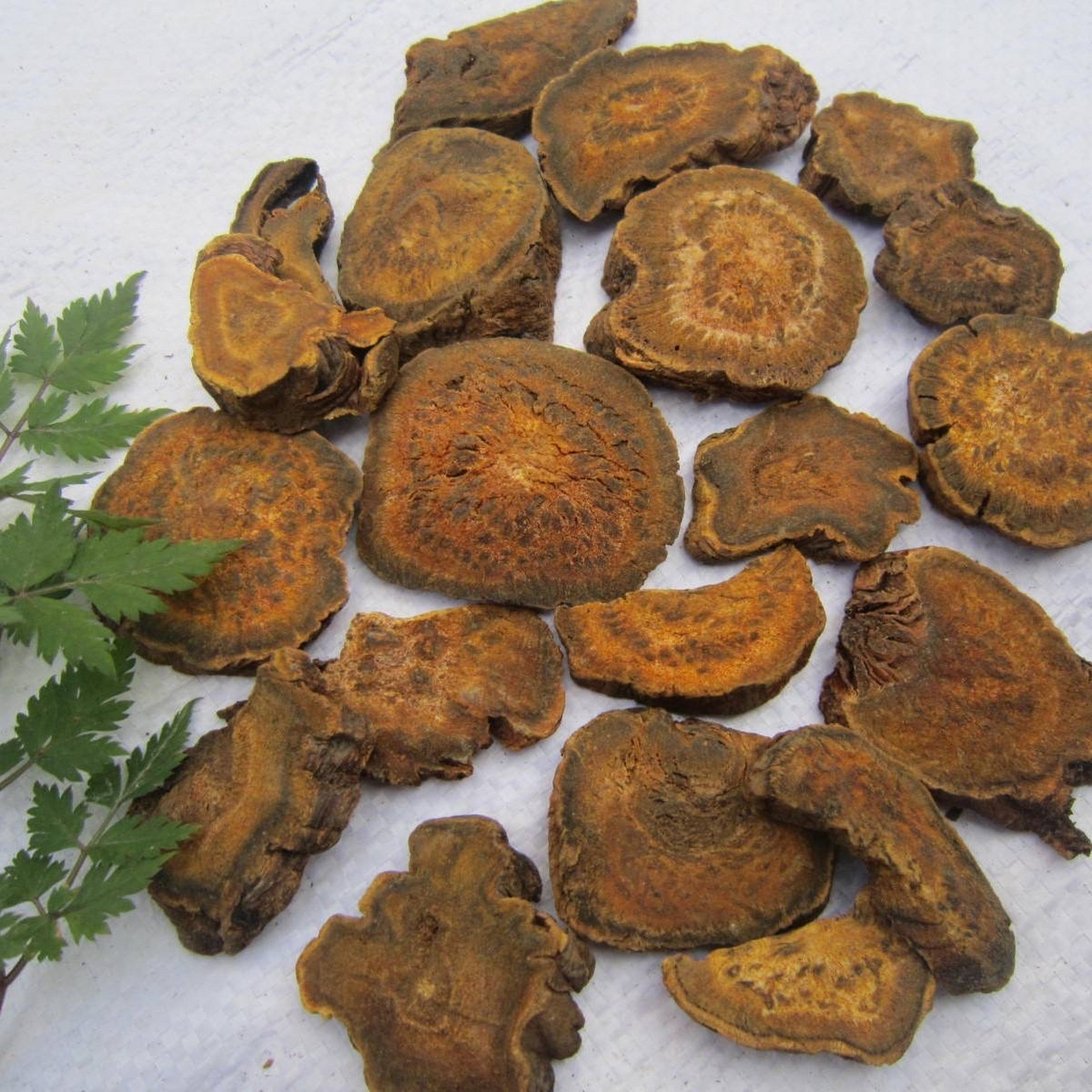 大黄:为蓼科多年生草本植物掌叶大黄,唐古特大黄,或药用大黄的根和