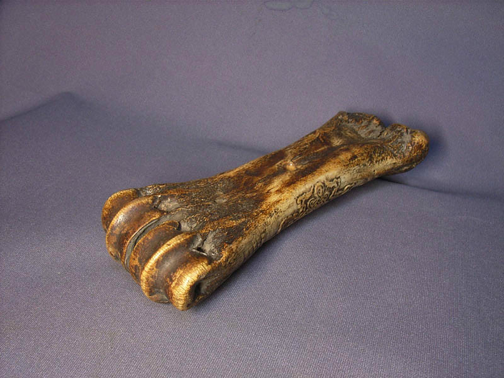 以头骨,四肢骨入药为优.雄虎的前胫骨更佳,处方虎胫骨.