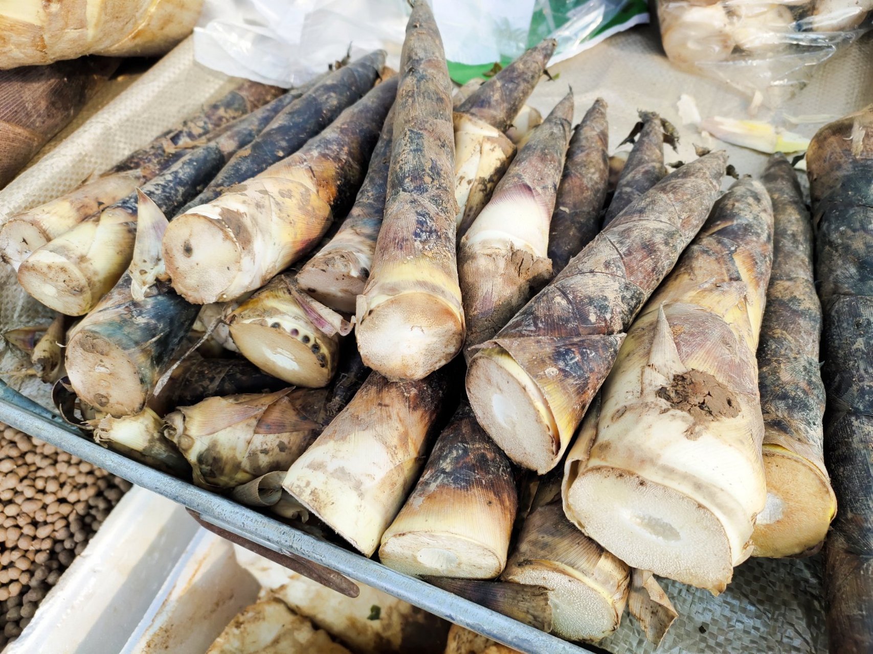 但是,过段时间,竹笋也会随着气温上升而退市.