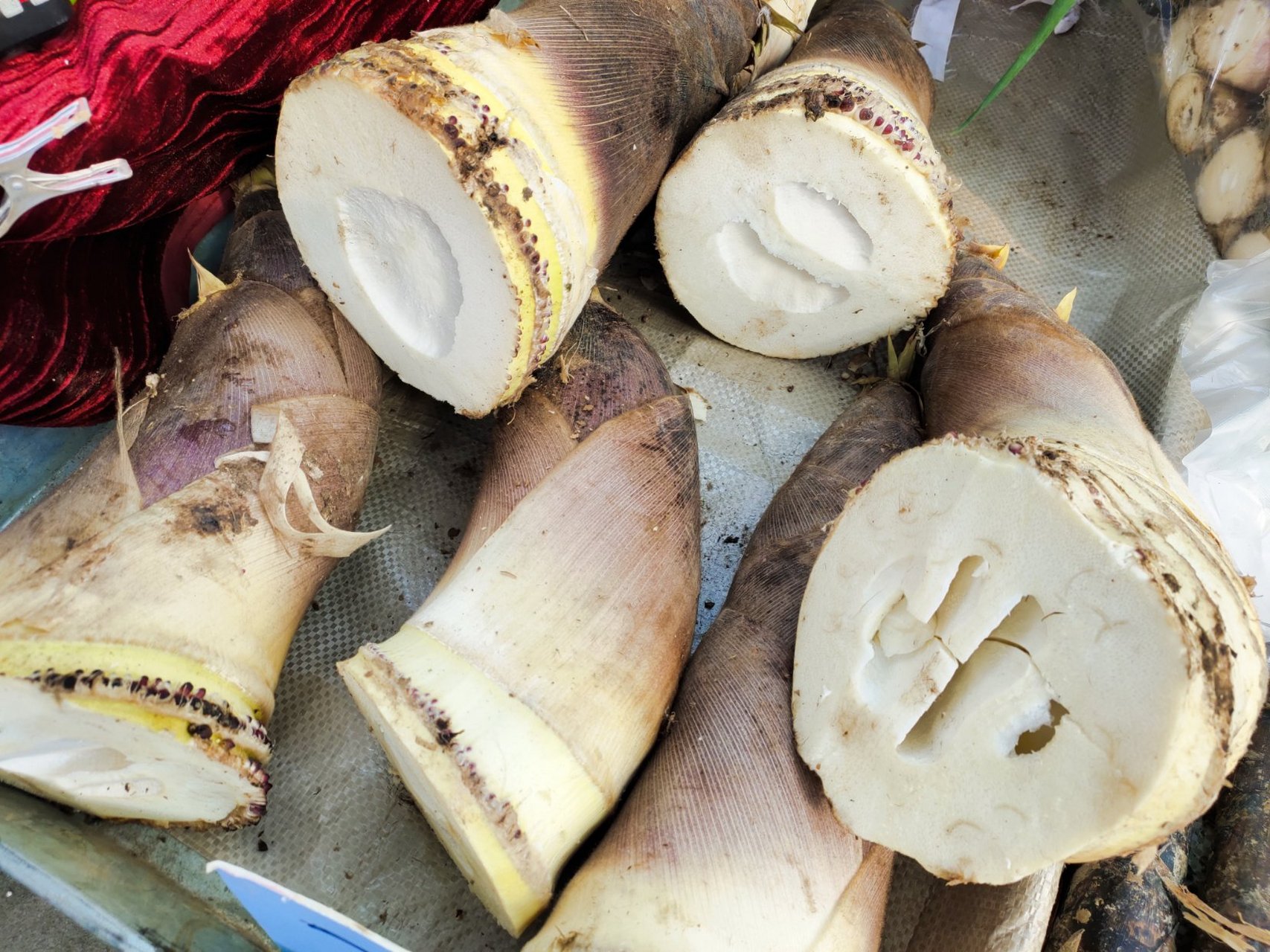 但是,过段时间,竹笋也会随着气温上升而退市.