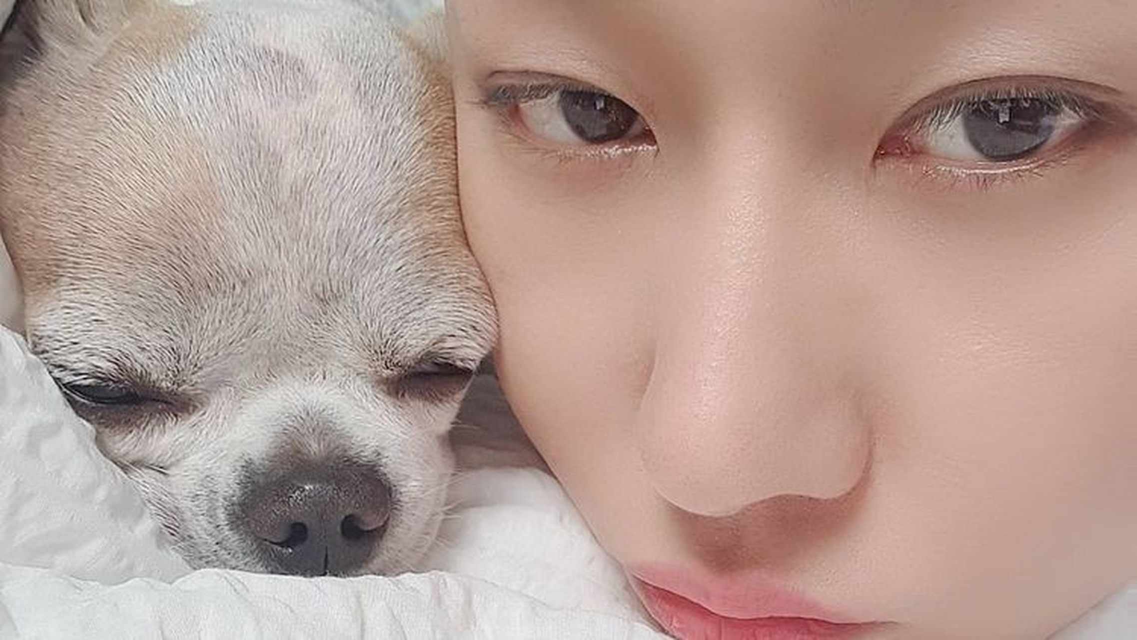 分享龙晓飞的单曲《小菊花》[网页链接](@酷狗音乐)