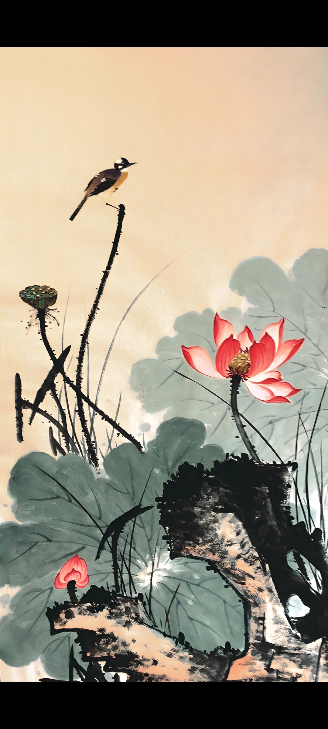 哇,这幅画真美,小鸟停在枝头,荷花盛开,好想亲眼看看这美景!