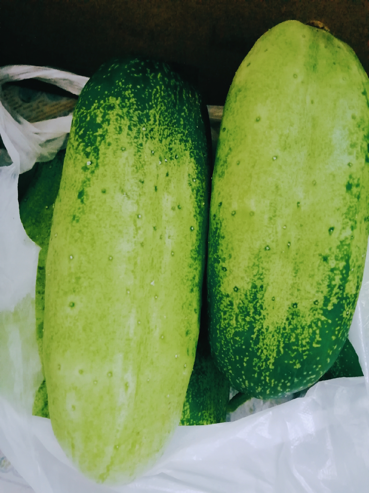 像黄瓜一样的瓜叫什么,很像黄瓜的一种植物叫什么?