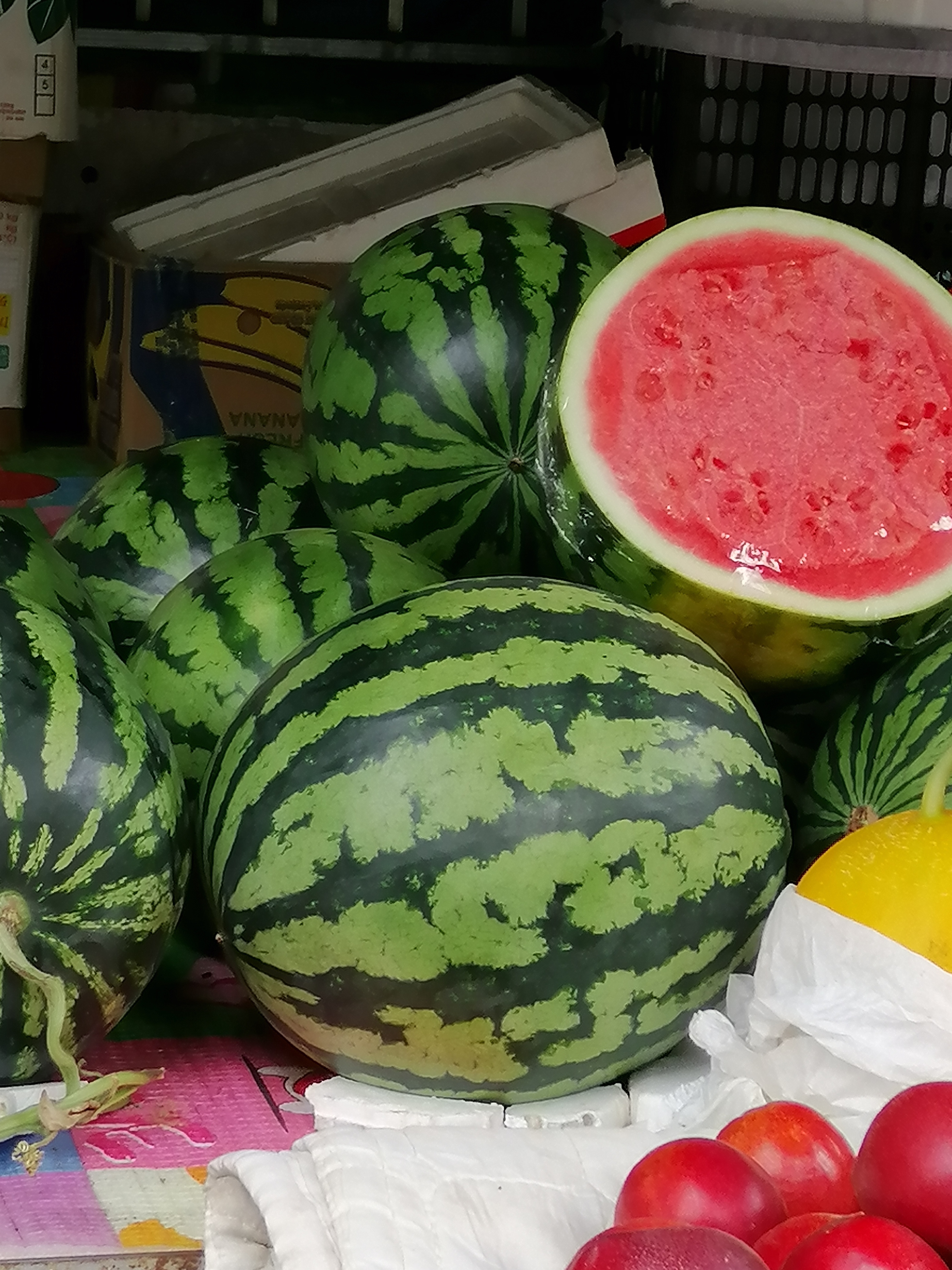 [福到]原来西瓜原产于非洲,后经过人工培植,成为西瓜.