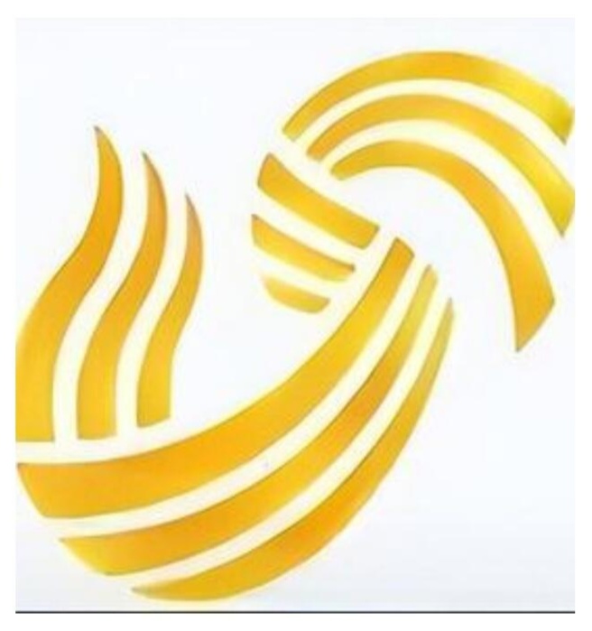 有网友称,山东卫视的台标长得像豆橛子.山东卫视官方:才不是!