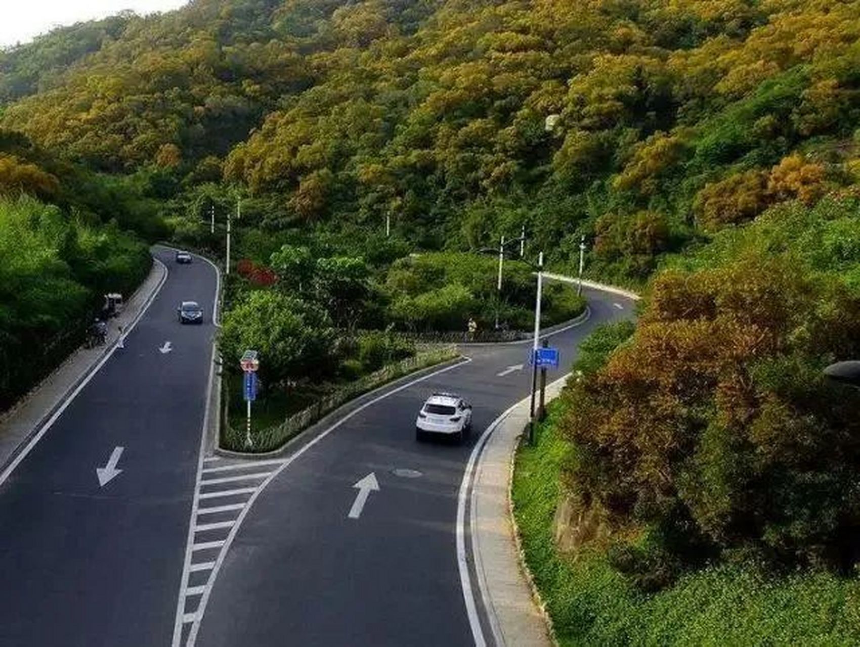 同城大v养成记# 厦门"怪坡"位于厦门文曾路通往半岭宫的路上,"怪坡"