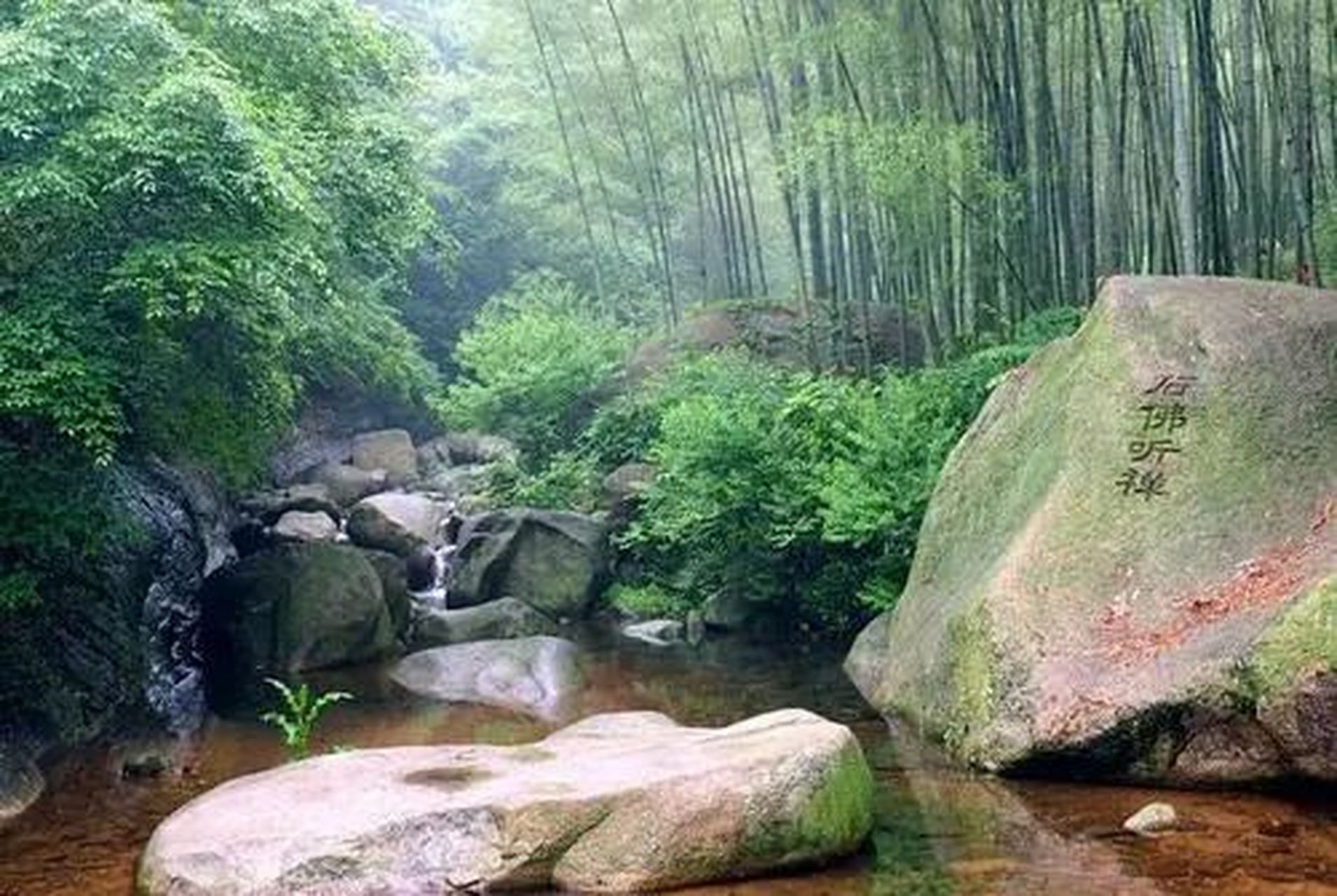 独山龙井沟风景区图片