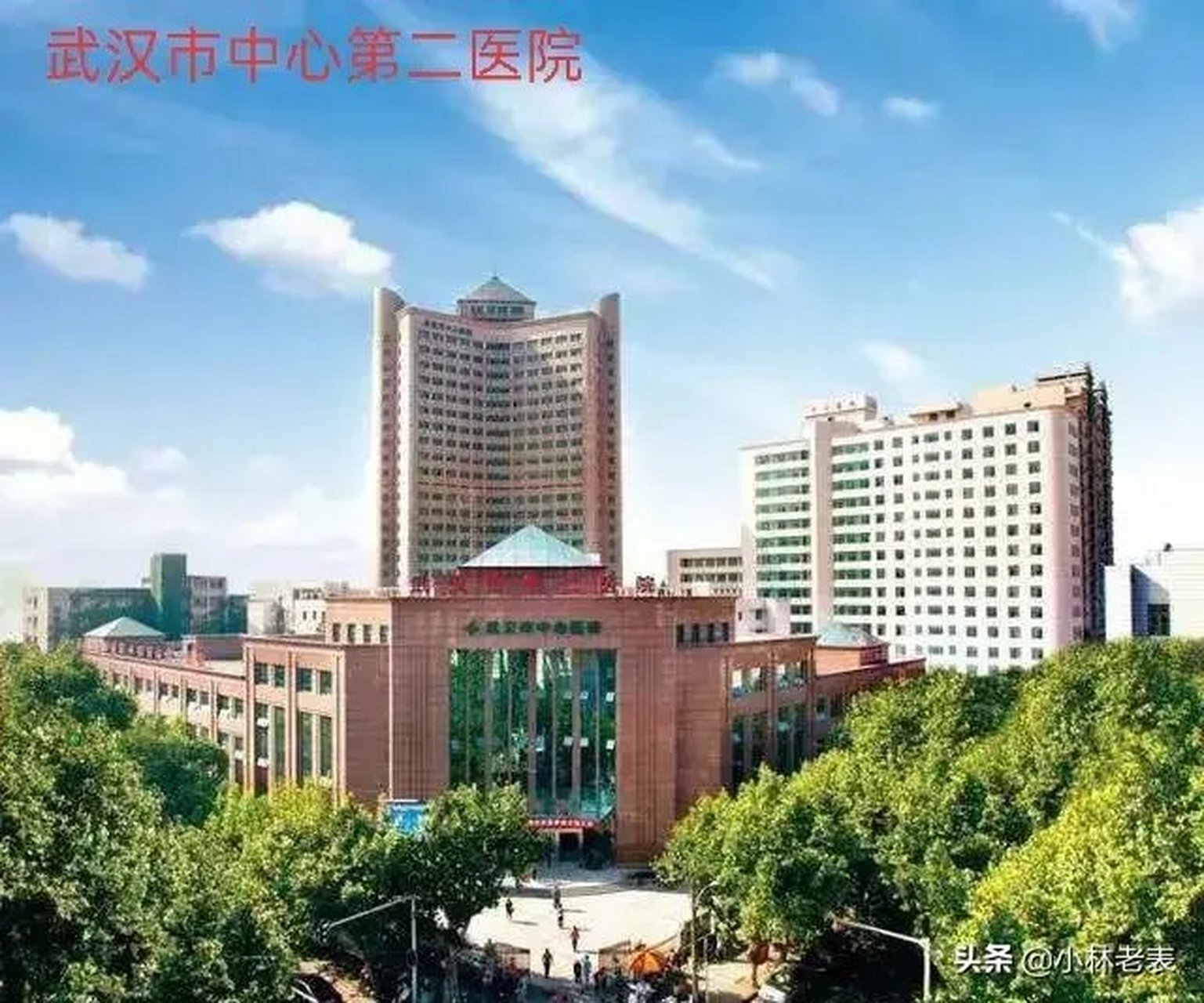 带大家看看湖北省霸气的〖三甲医院〗大楼!