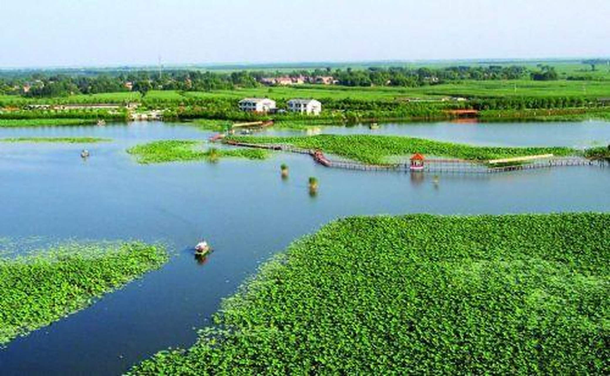 位于河北省保定市安新县,属于国家5a景点,这里物产丰富,景色迷人.