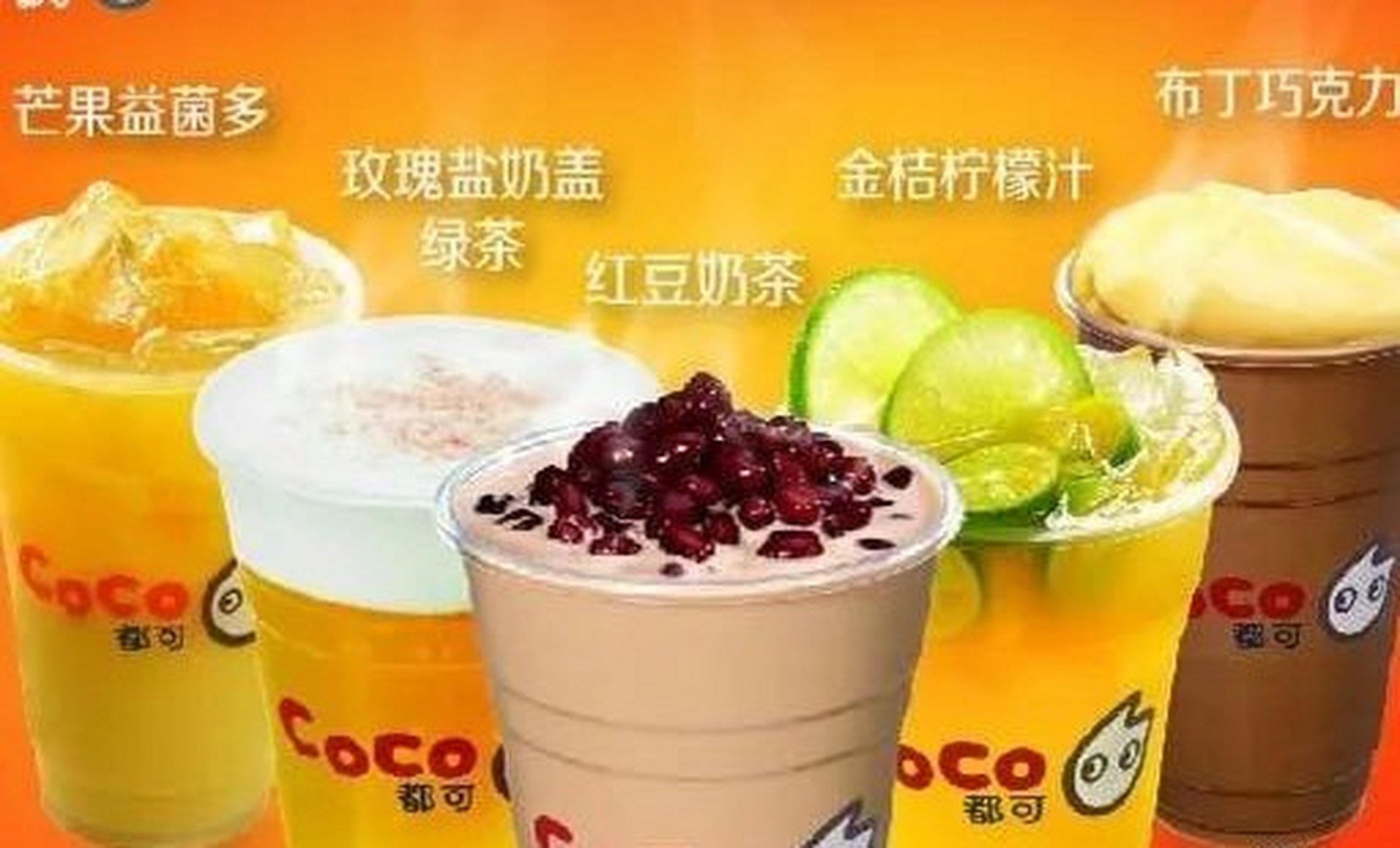 coco奶茶明星代言人图片