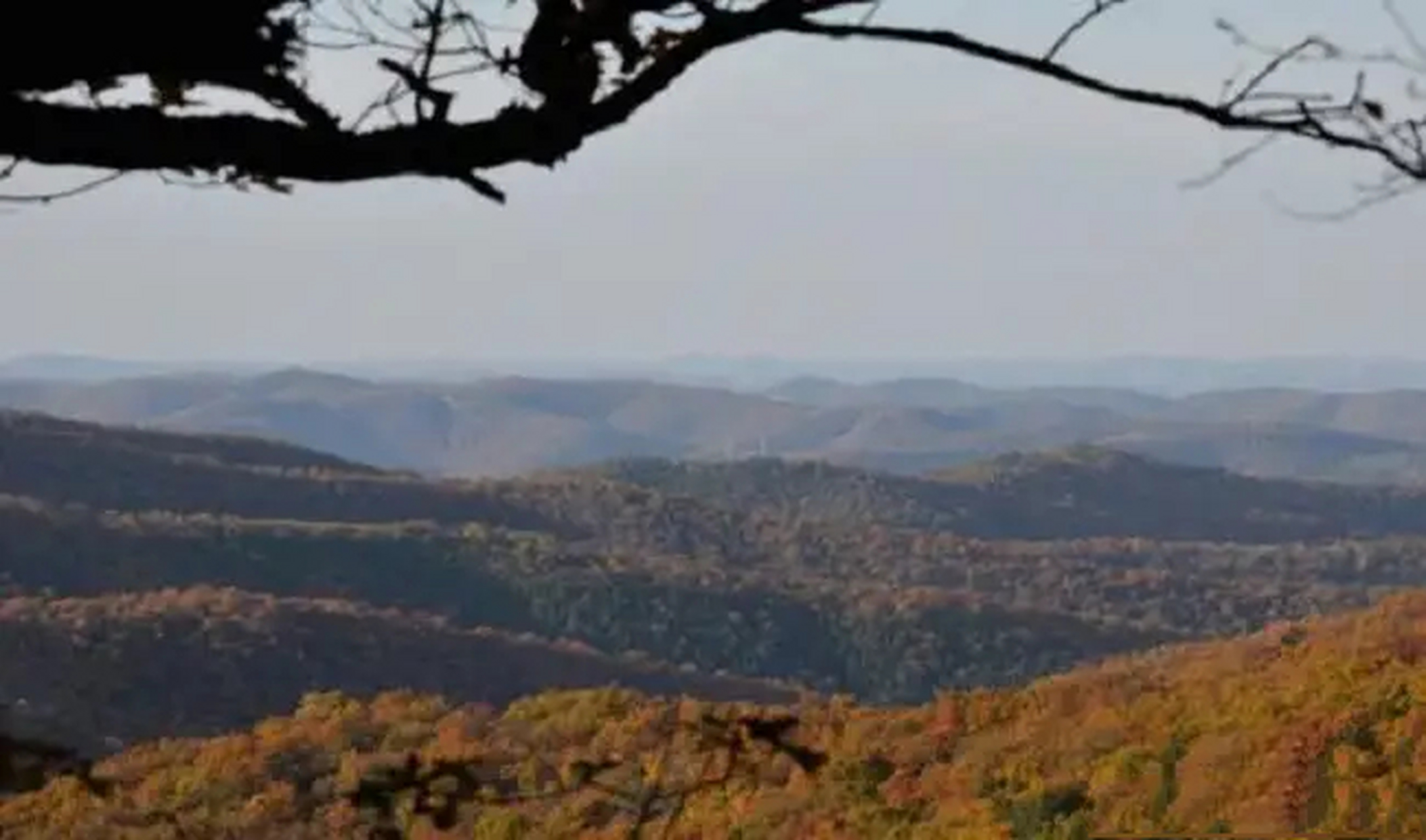 庆阳子午岭地跨陕西,甘肃两省,位于黄土高原的腹地.