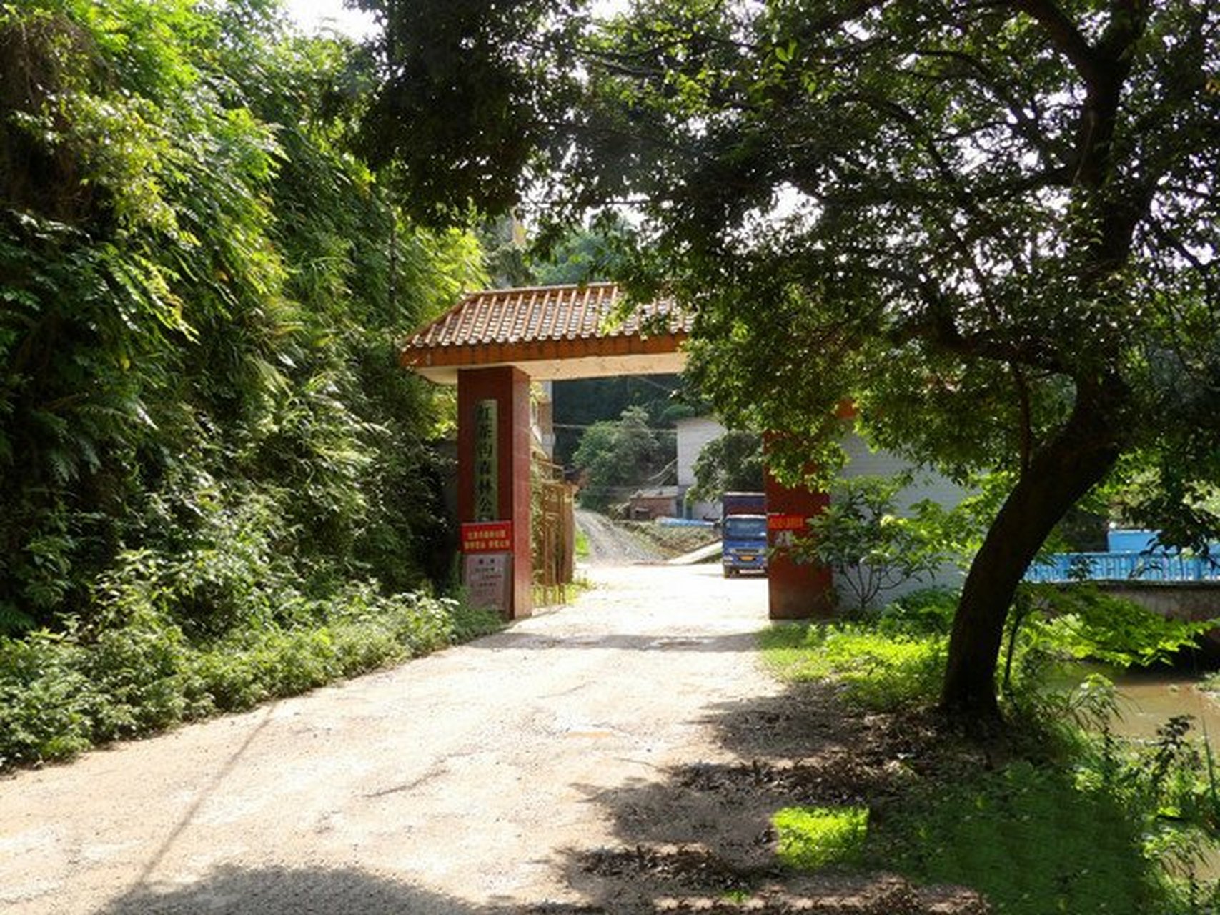 柳州红茶沟森林公园图片
