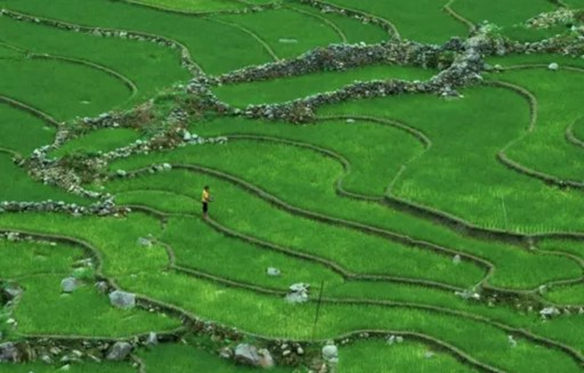 越南也会下雪? 没错! 就是在这个叫沙坝(sapa)的人间天堂!