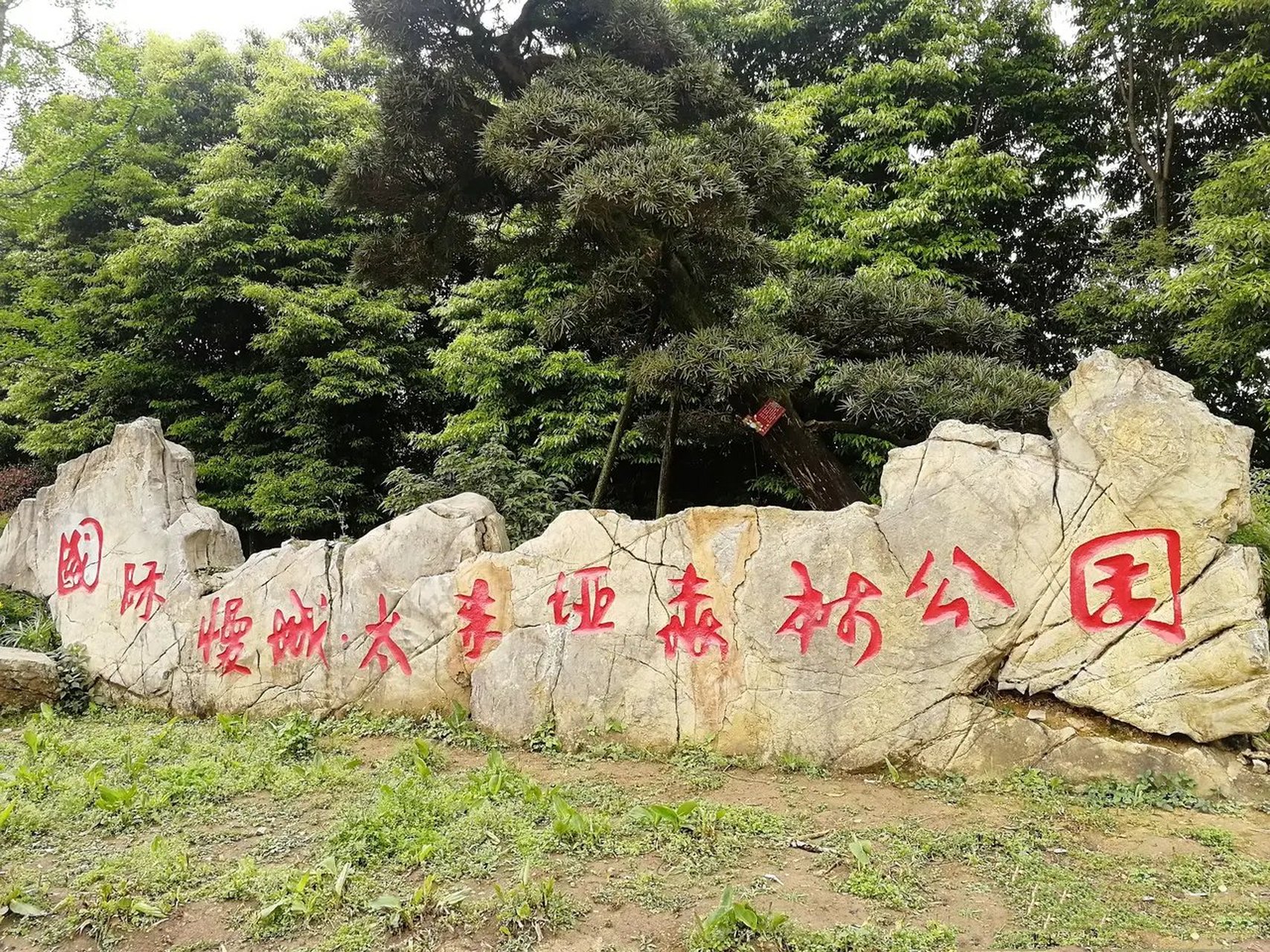 今天,重庆中梁山上发现一处景色:国际慢城太寺垭森林公园