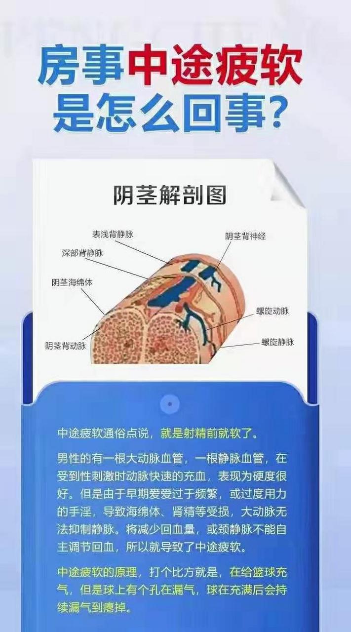 阴痉静脉纤维化图片