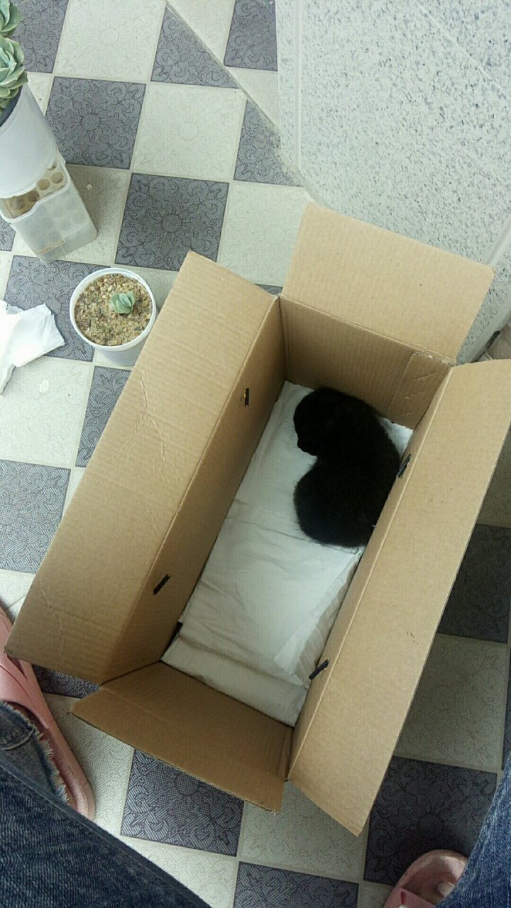 女儿子真可爱.[期待][期待][期待]