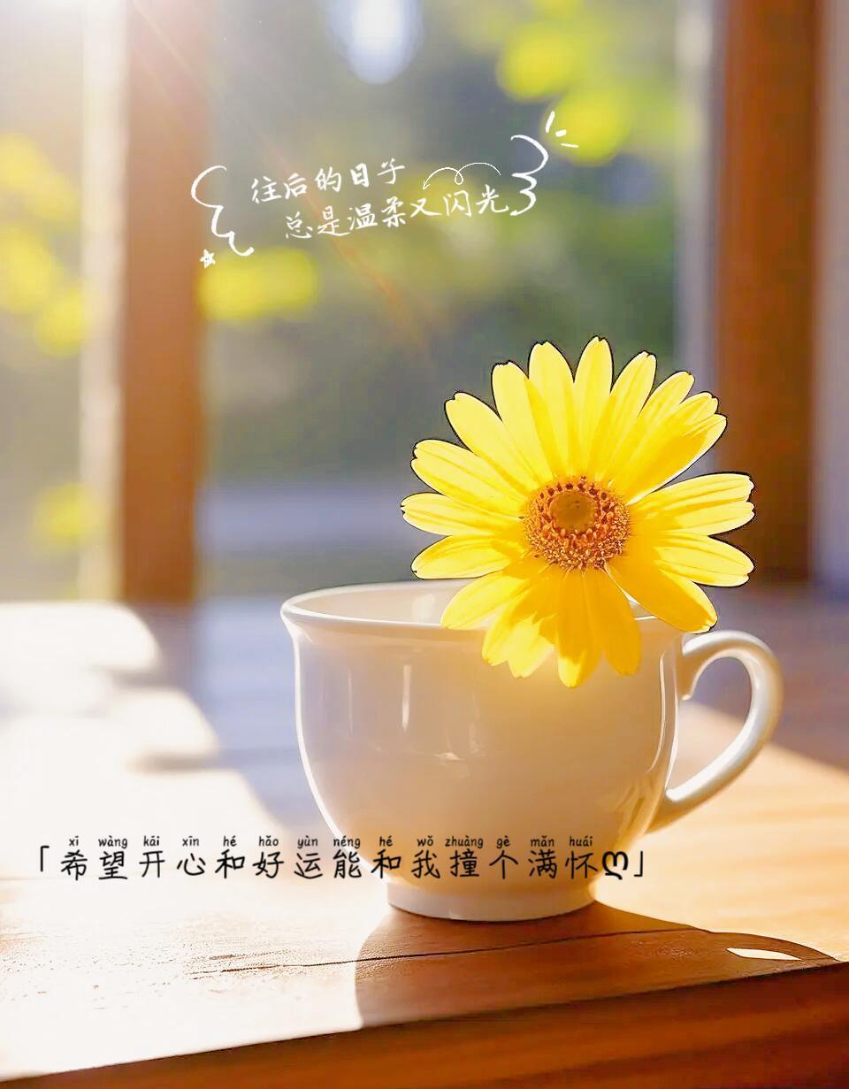 旁,一朵黄色的花儿静静绽放,仿佛在说:"往后的日子,愿你被温柔以待