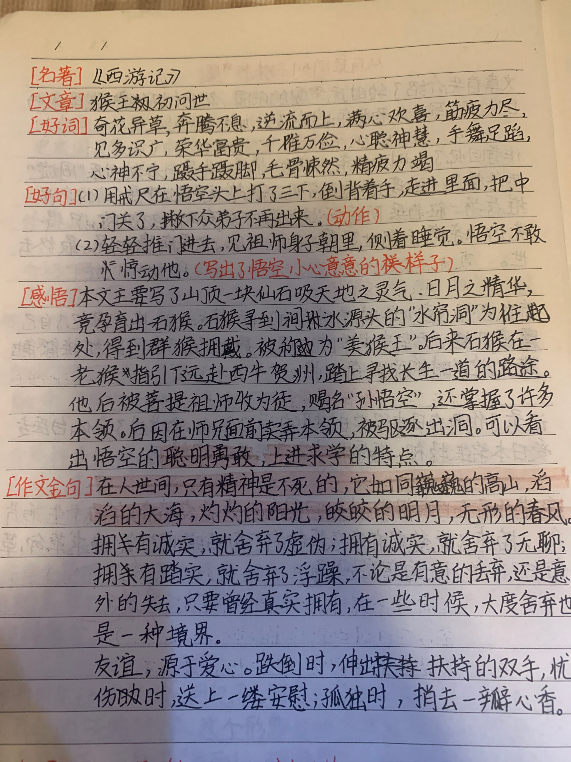 西游记整理笔记图片