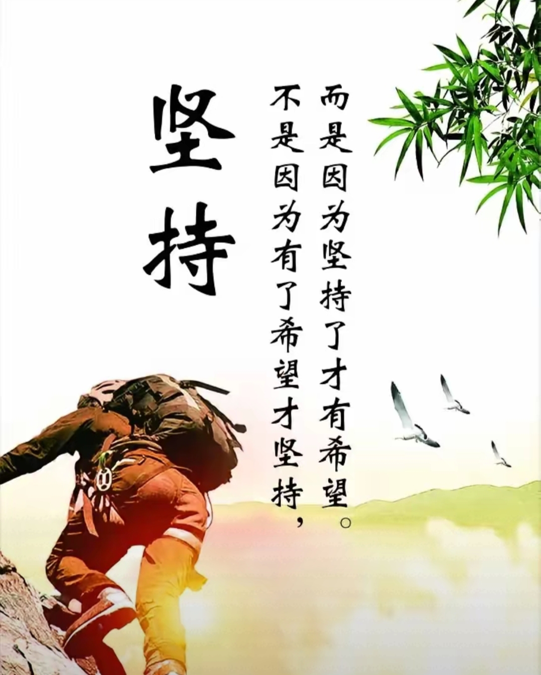 当你腹有诗书了,你就无容貌焦虑了 当你岁月打磨了