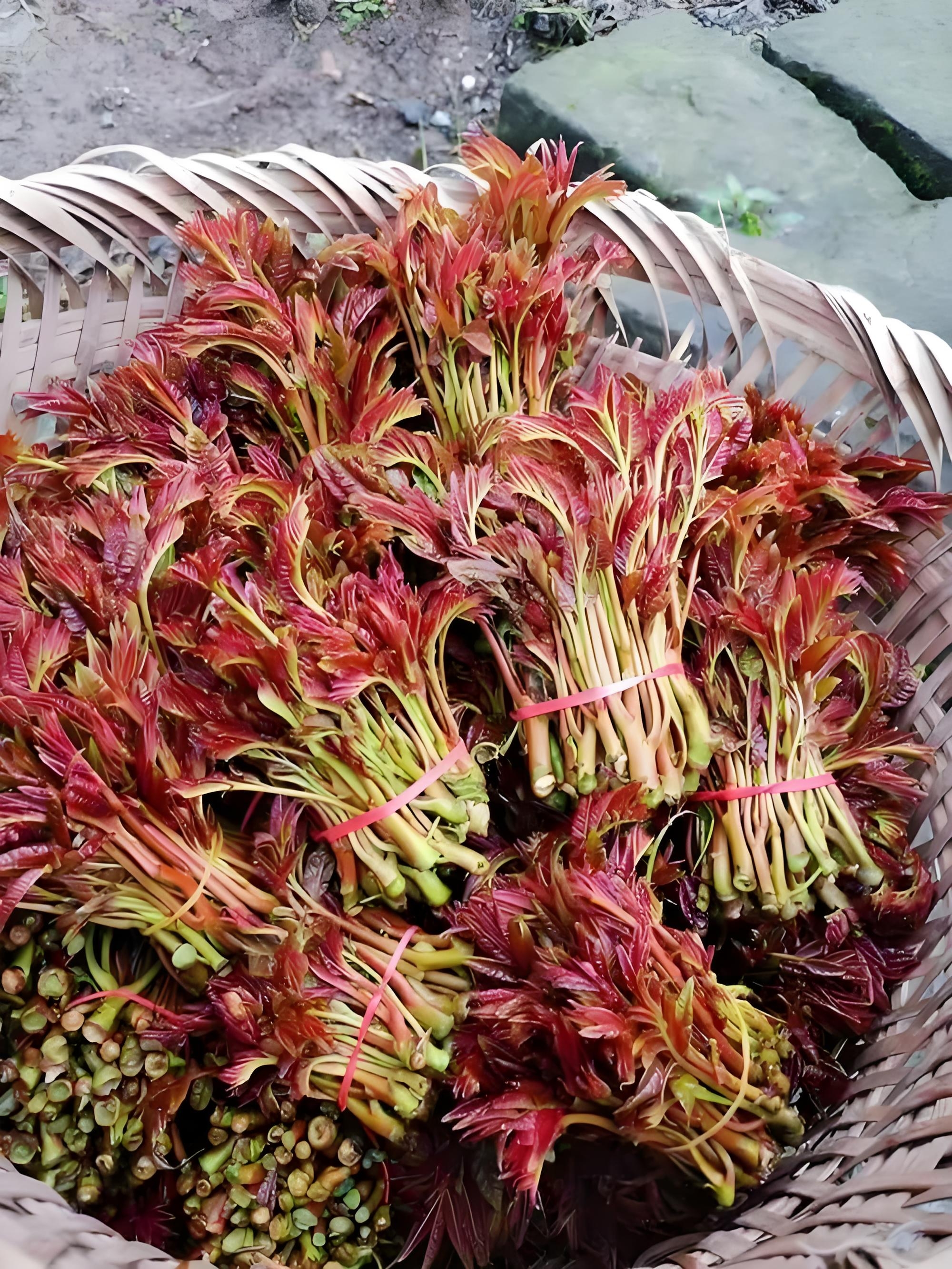 以下蔬菜在烹饪前通常需要焯水: 1