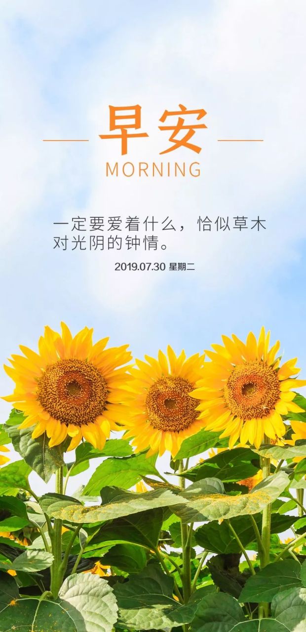 新的一天开始了,让我们带着乐观和积极的态度去迎接这美好的时光.