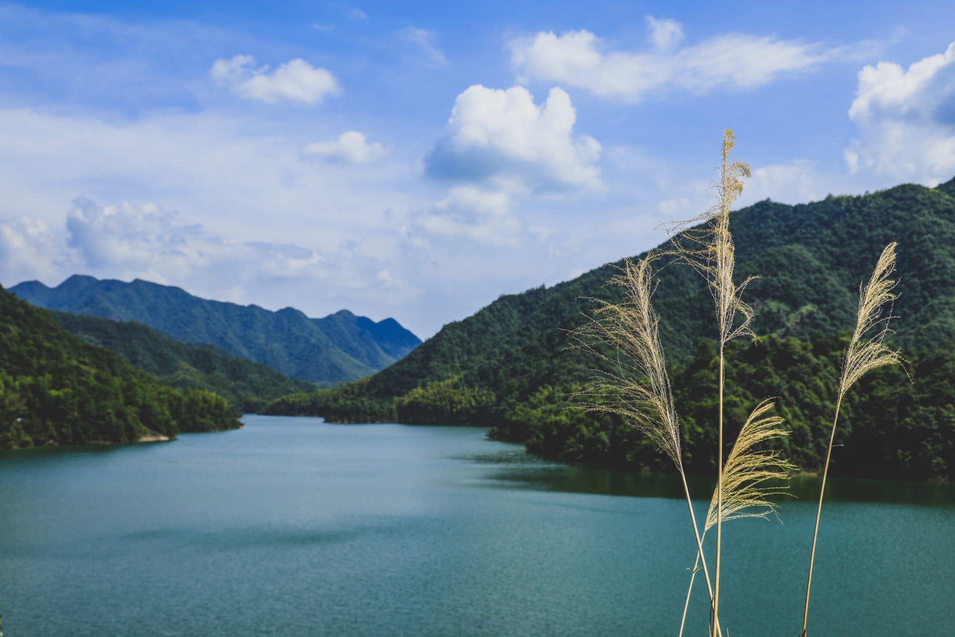 金华安地水库