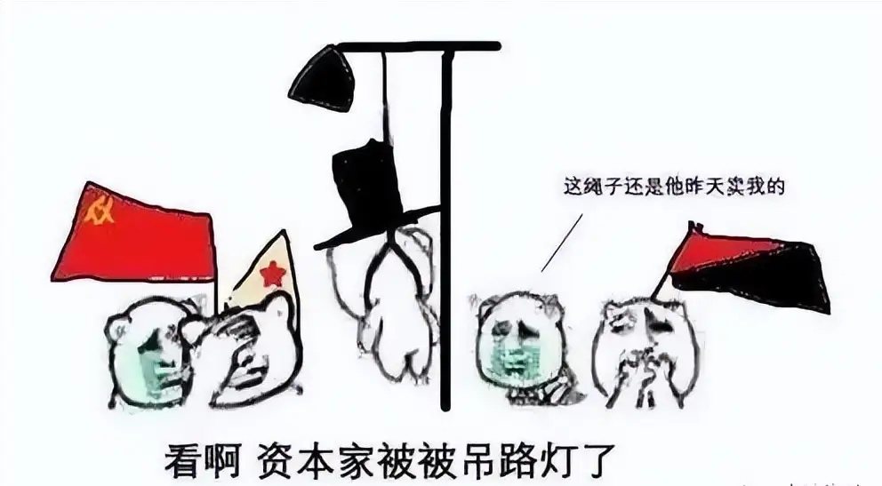 迪哥拆家表情包图片