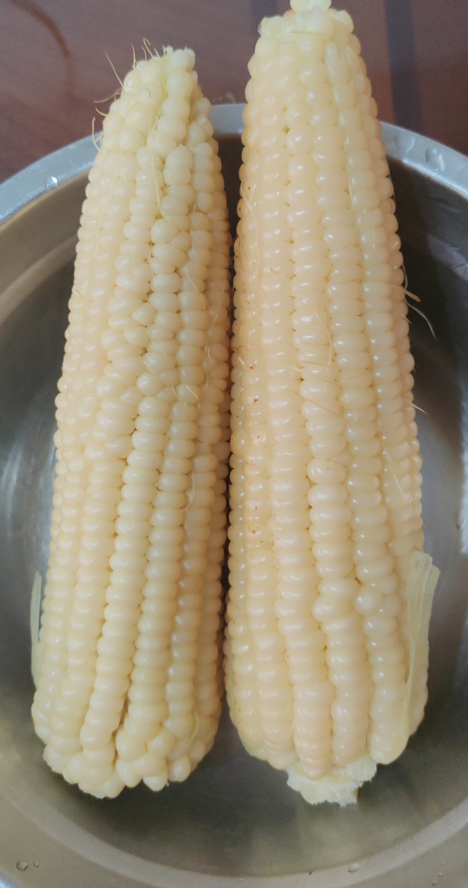 我的美食分享