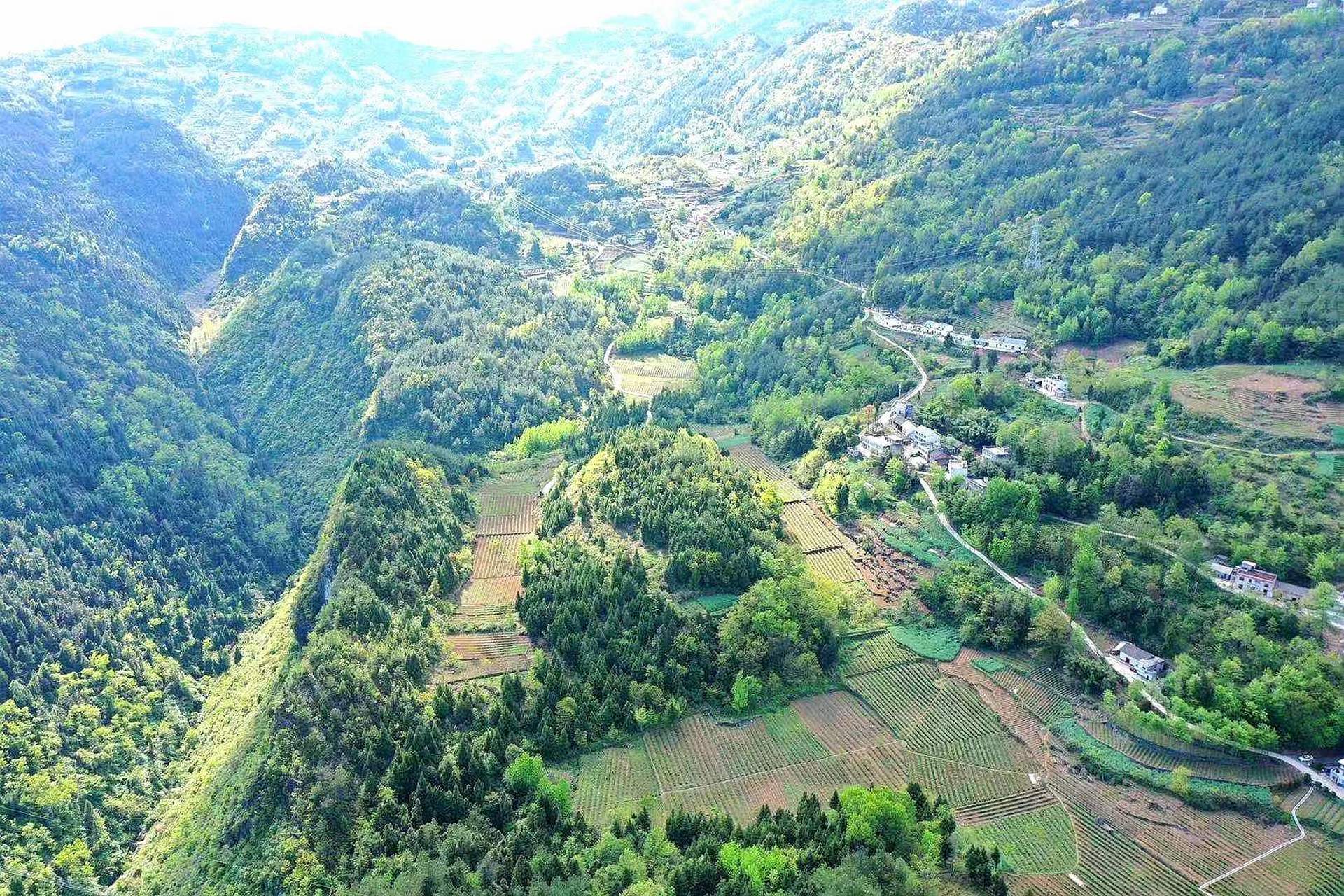 湖北省巴东县茶店子镇三溪口村,是全国红色革命文化抗战文化于一身的