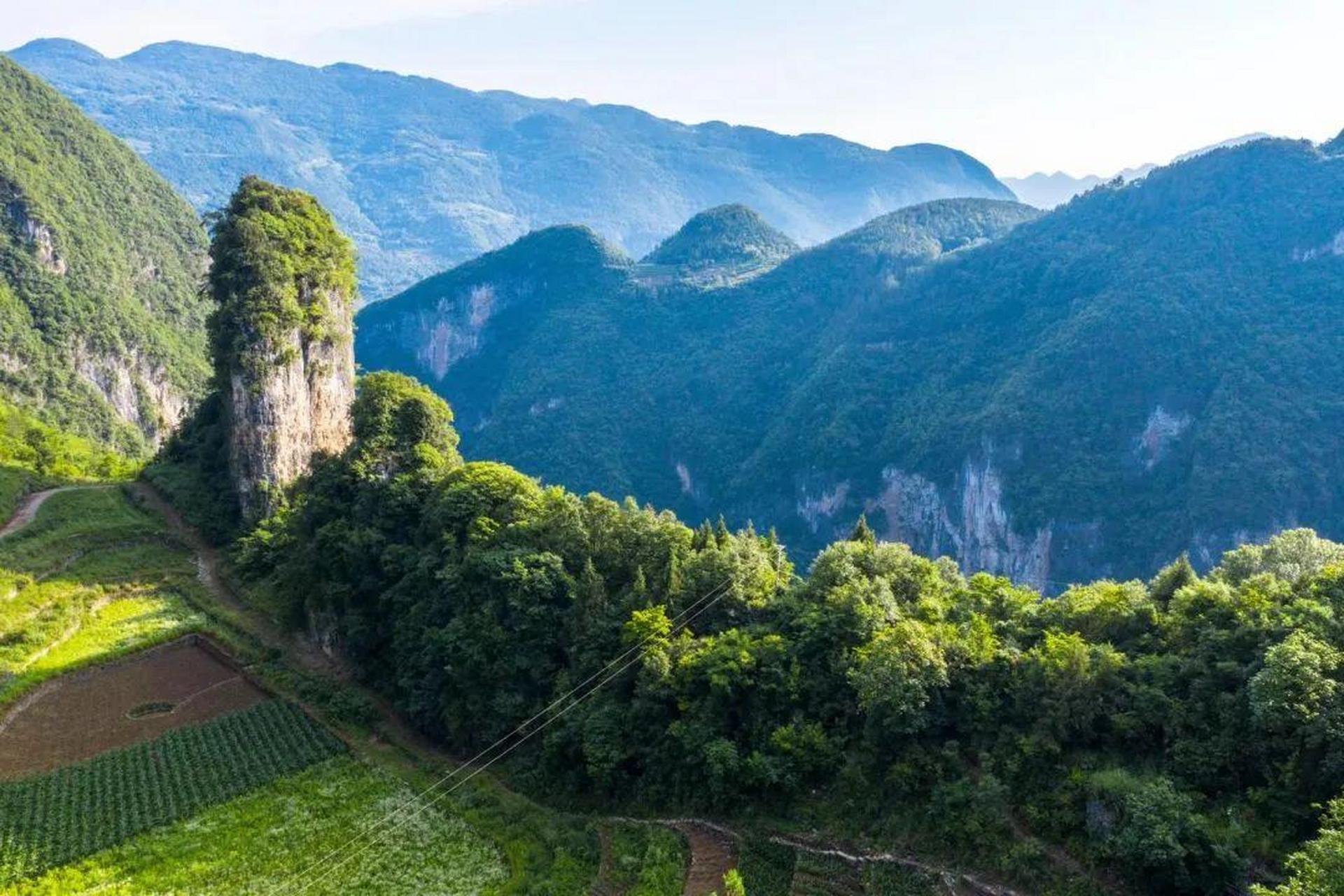 《三溪口国家森林公园规划航拍完成》三溪口的山美,三溪口的水美,三