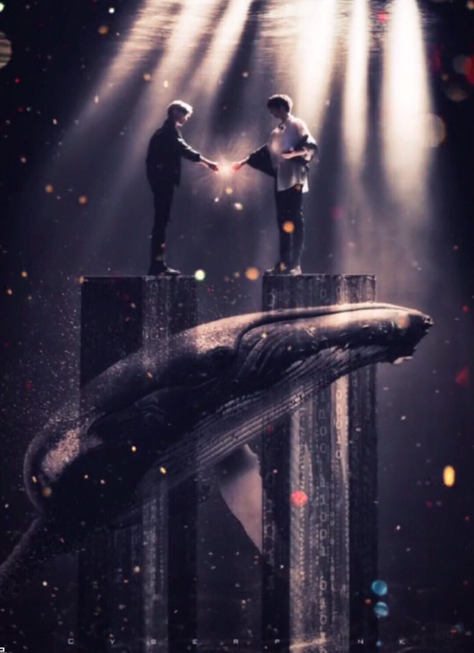 两位队长的握手 家长组的握手 祺鑫的握手 (拿图的吱一声哈,在加一个