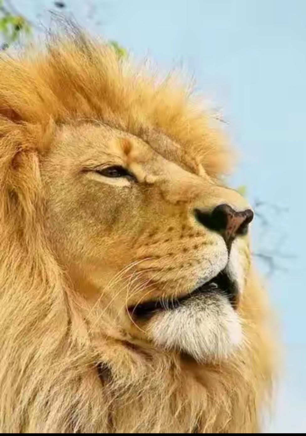 坚持的这个过程最重要的是不要急功近利, 要踏踏实实的把这件事当成