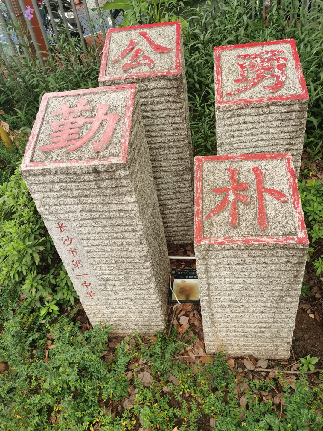 现在最卷的莫过于上学了,长沙高考985录取率最高长