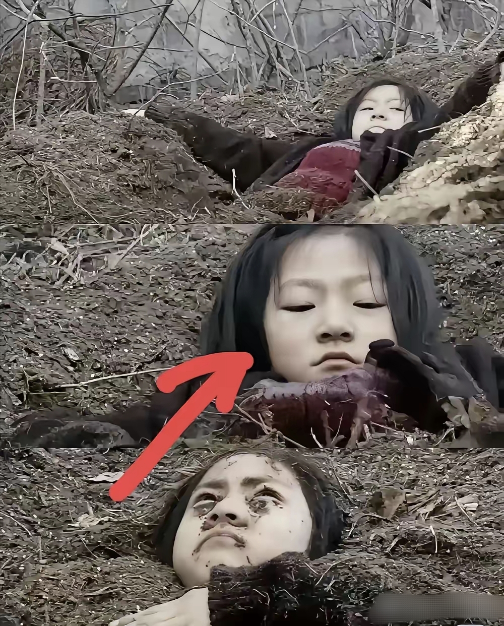 案子水落石出了. 金赛纶根本就是有意为之