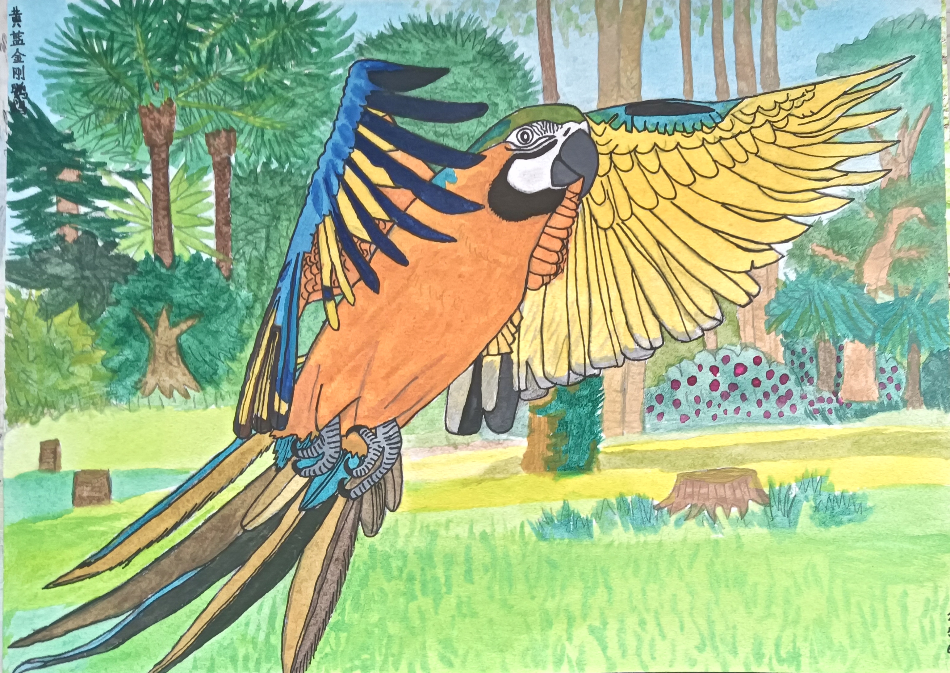 自己画的动物世界